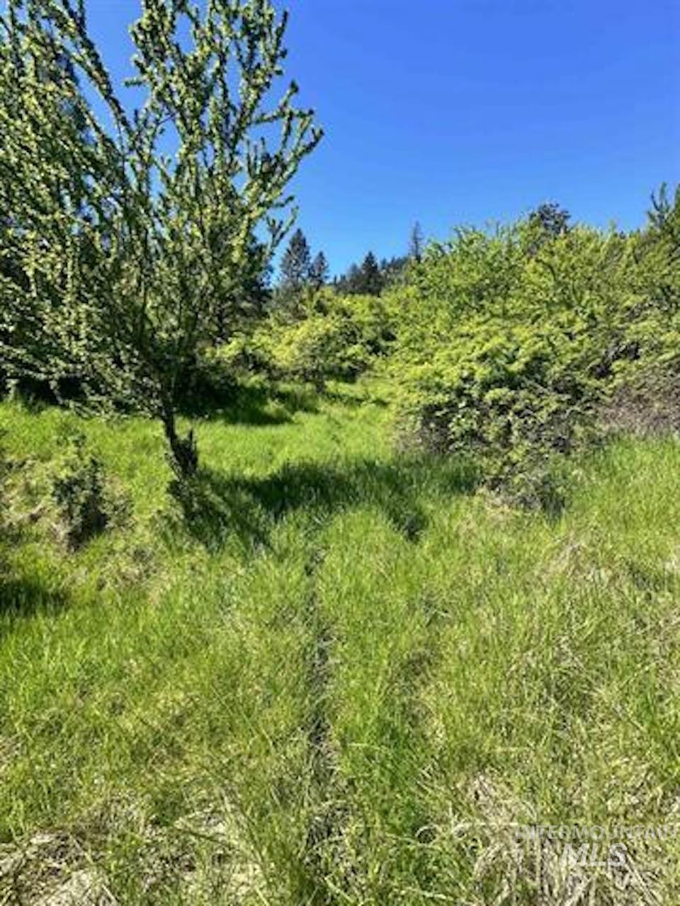 TBD River View Lane, Kamiah, Idaho 83536, Land For Sale, Price $129,000, 98990460