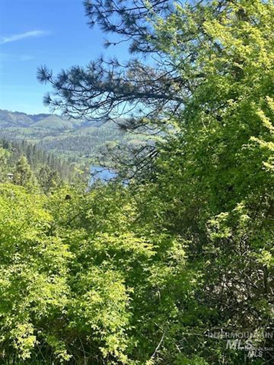 TBD River View Lane, Kamiah, Idaho 83536, Land For Sale, Price $129,000, 98990460
