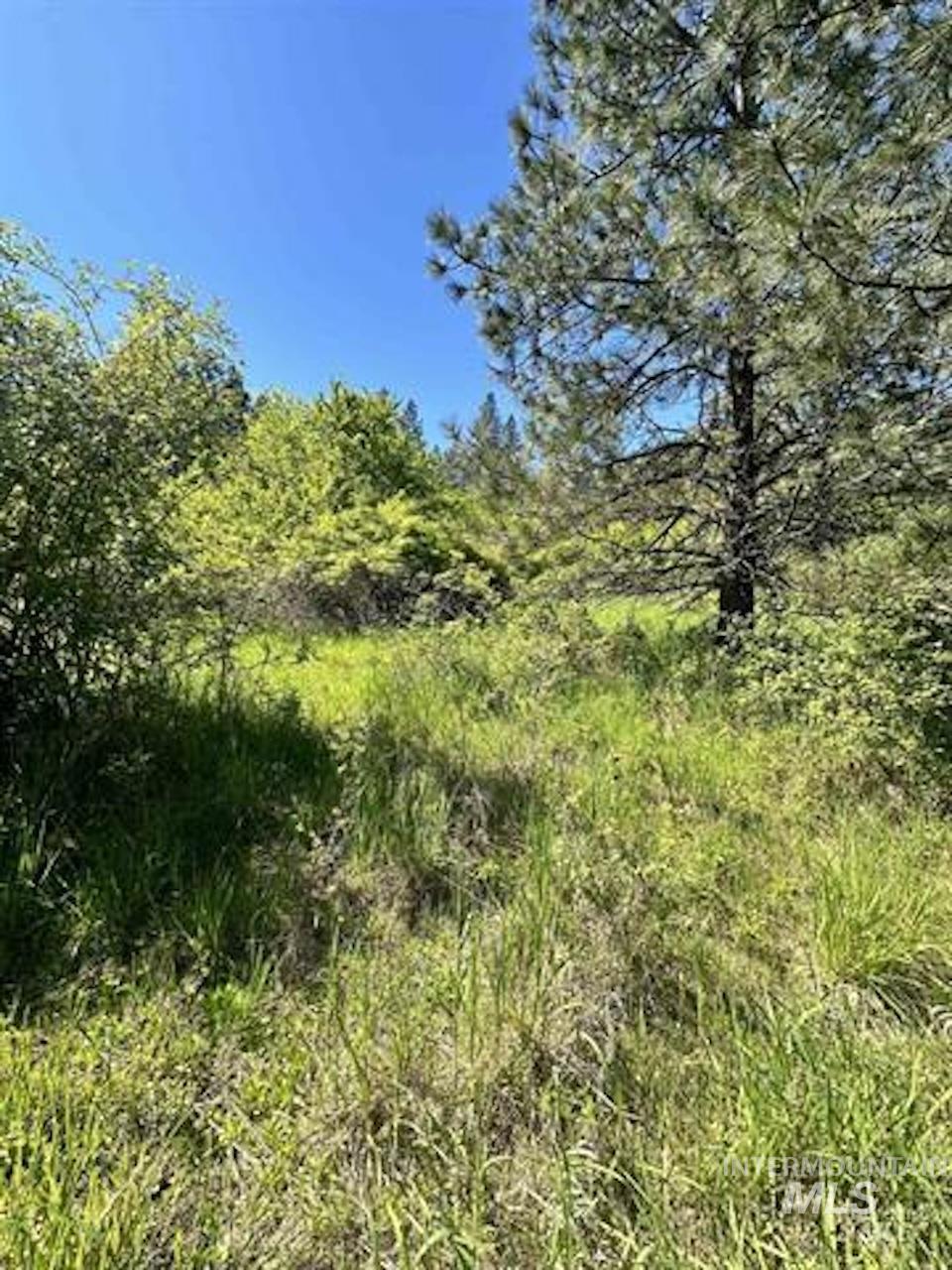 TBD River View Lane, Kamiah, Idaho 83536, Land For Sale, Price $129,000, 98990460