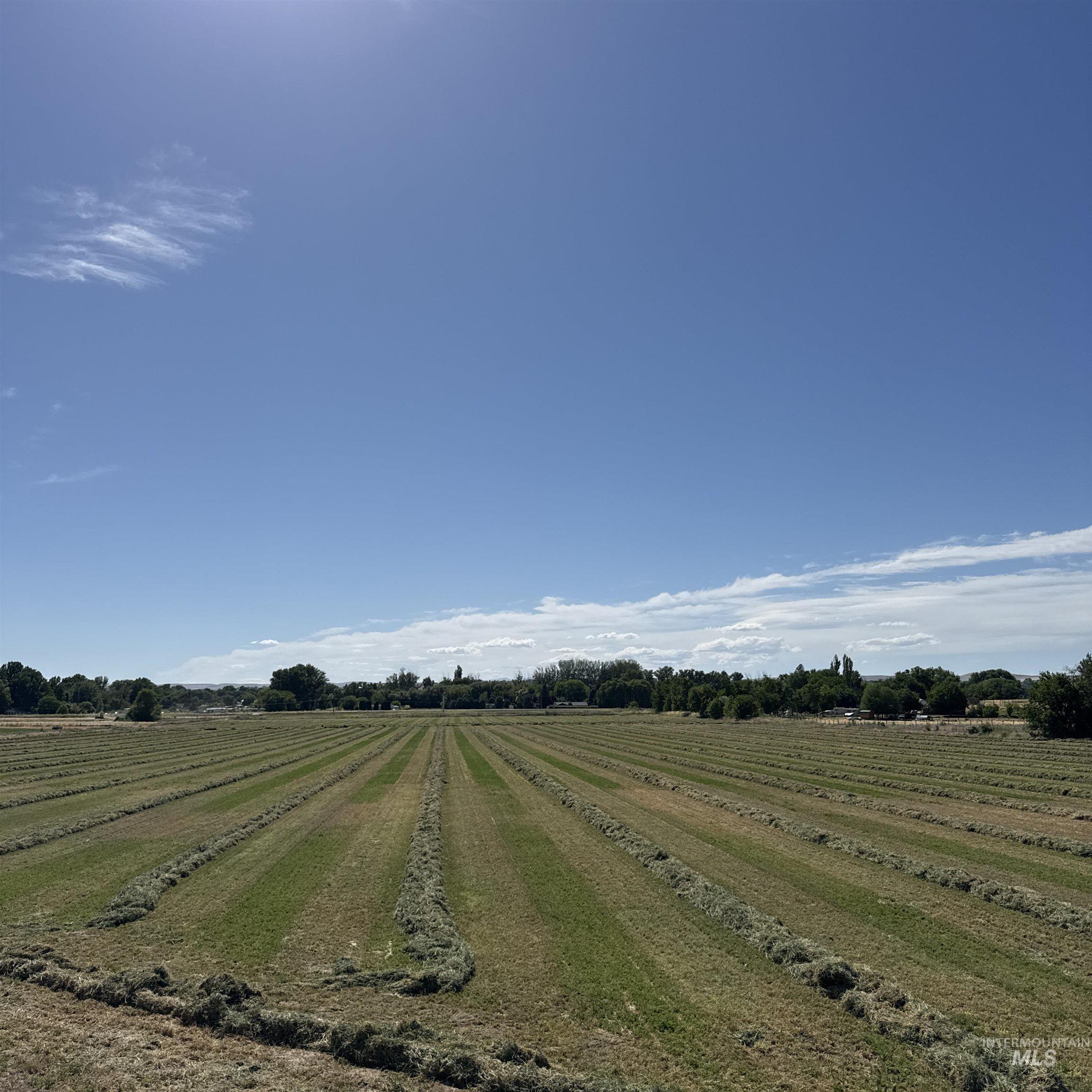 TBD Hwy 95, Payette, Idaho 83661, Land For Sale, Price $650,000,MLS 98990485