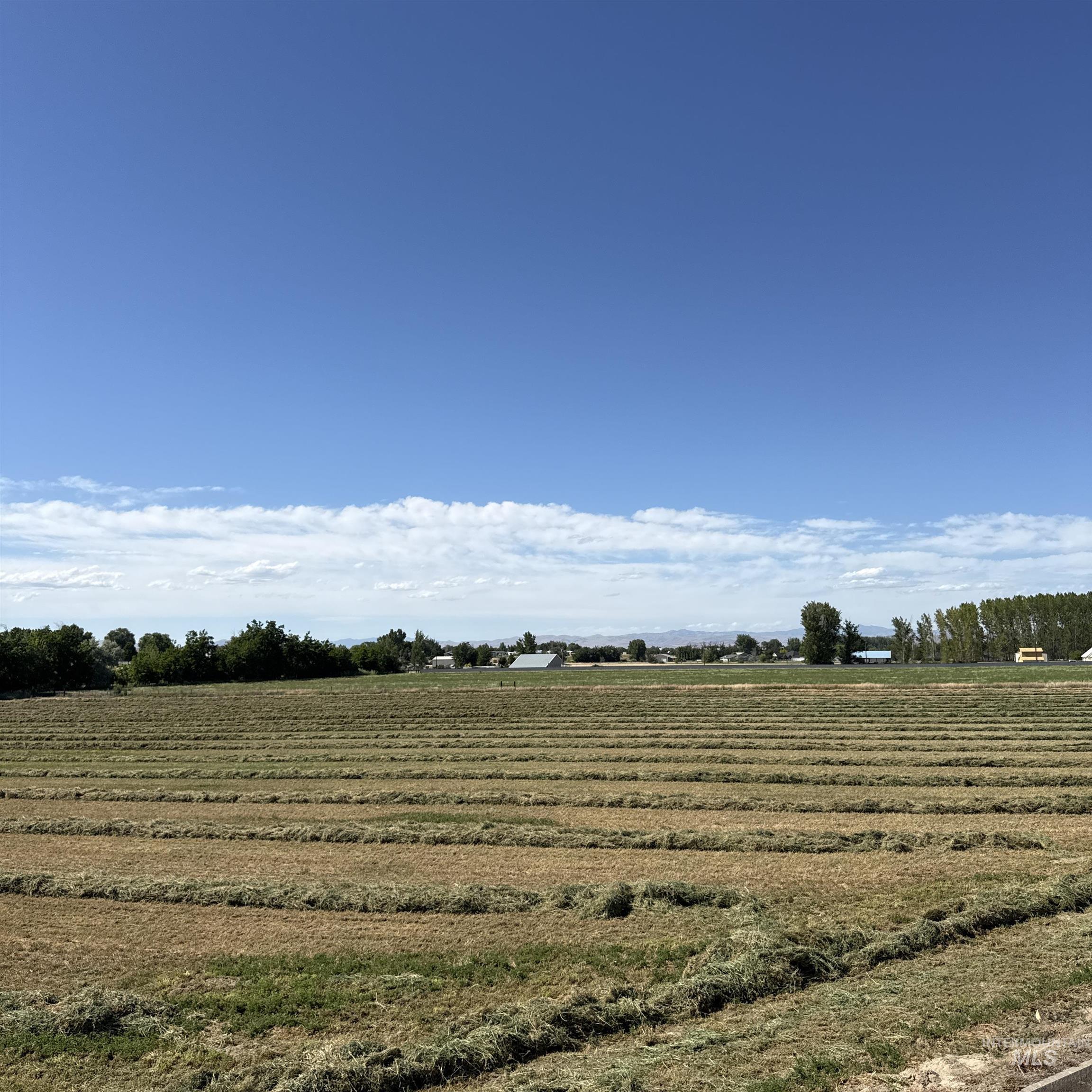 TBD Hwy 95, Payette, Idaho 83661, Land For Sale, Price $650,000,MLS 98990485
