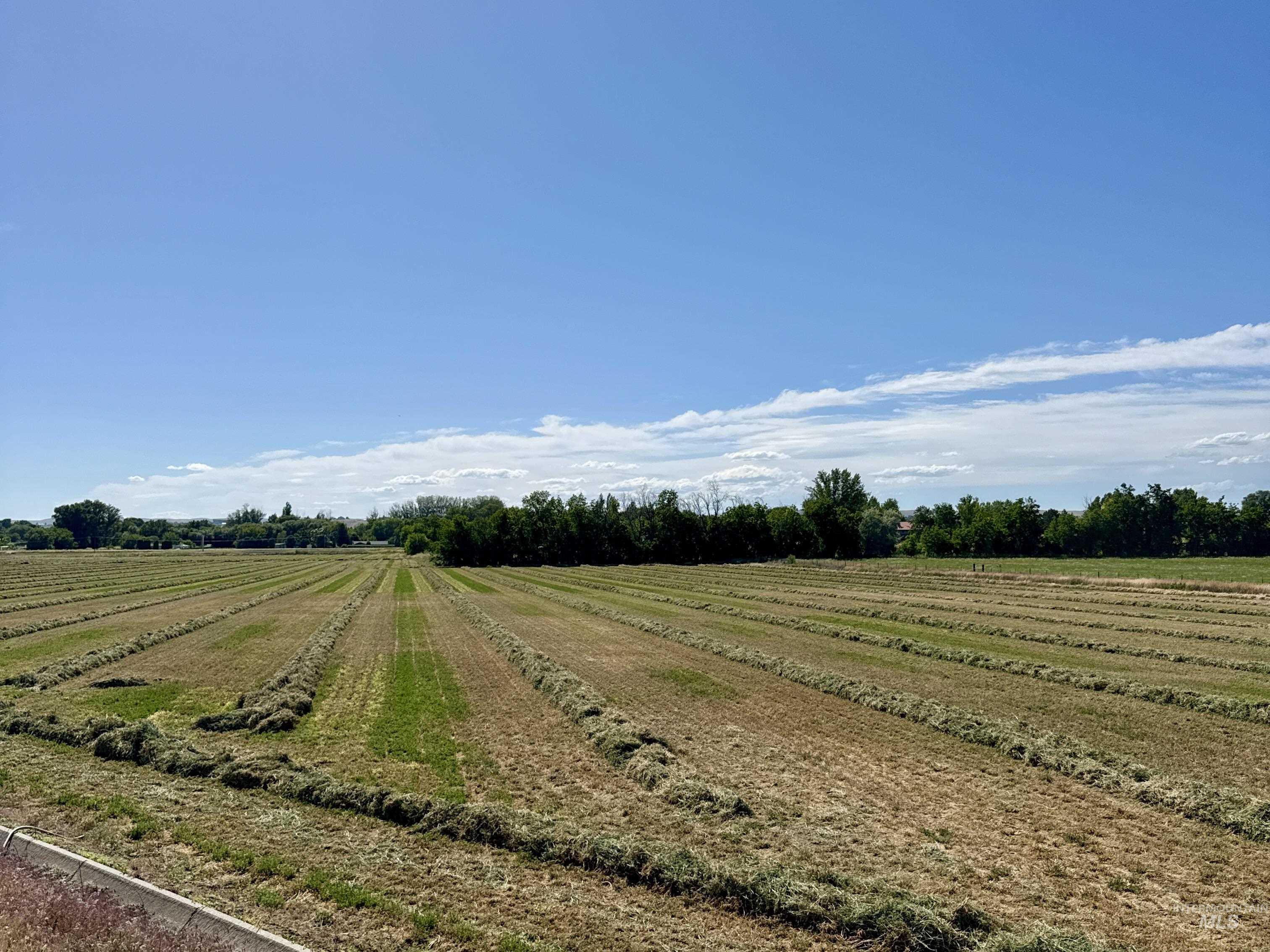 TBD Hwy 95, Payette, Idaho 83661, Land For Sale, Price $650,000, 98990485