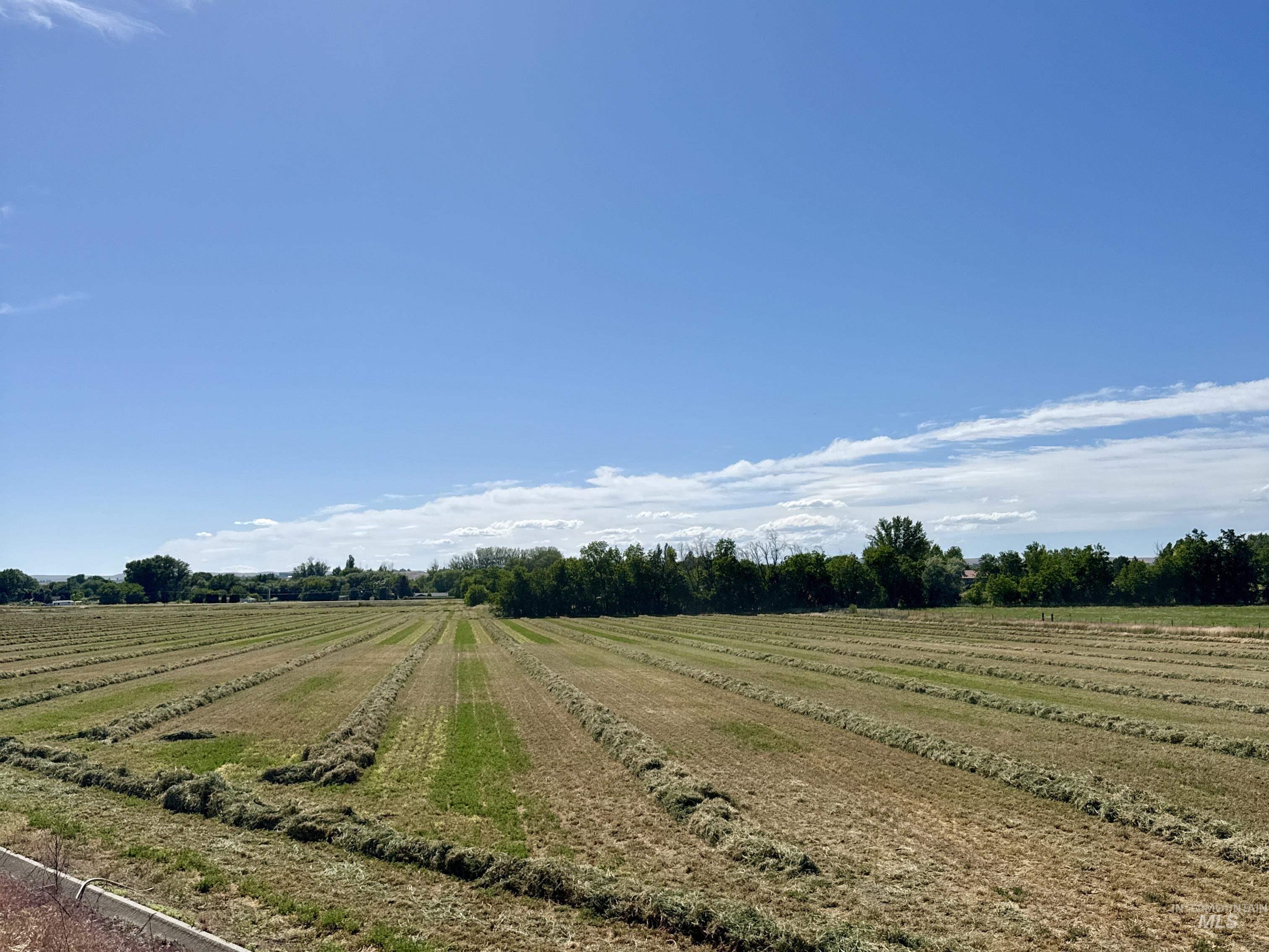 TBD Hwy 95, Payette, Idaho 83661, Land For Sale, Price $650,000, 98990485