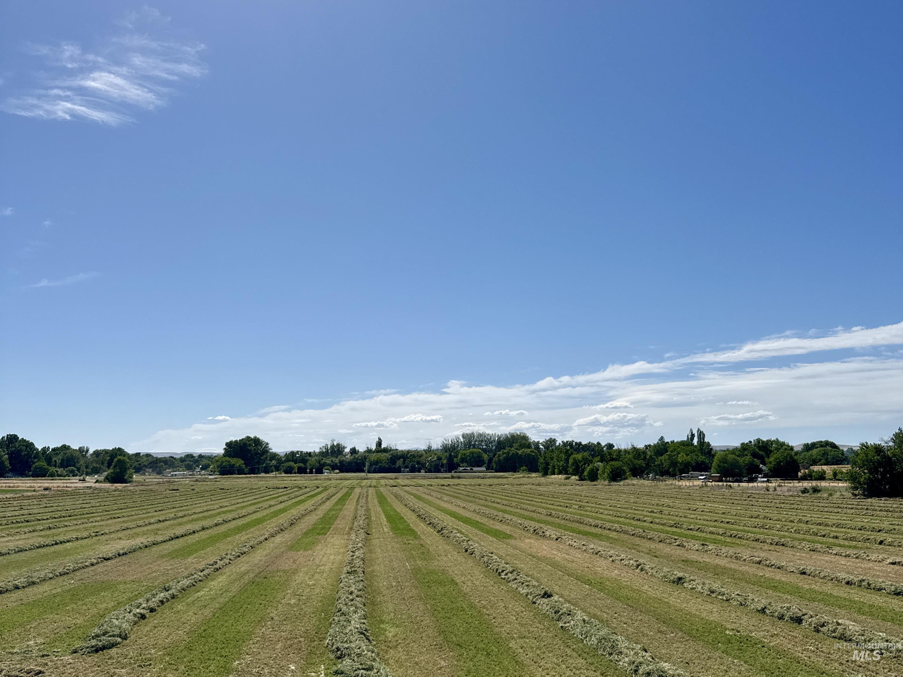 TBD Hwy 95, Payette, Idaho 83661, Land For Sale, Price $650,000, 98990485