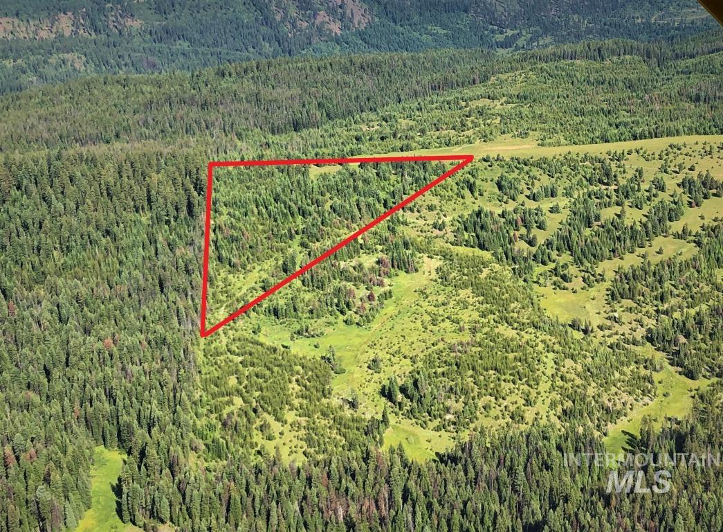 Parcel 5 Hungry Ridge Road, Grangeville, Idaho 83530, Land For Sale, Price $299,000,MLS 98990500