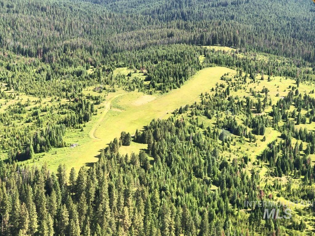 Parcel 5 Hungry Ridge Road, Grangeville, Idaho 83530, Land For Sale, Price $299,000,MLS 98990500