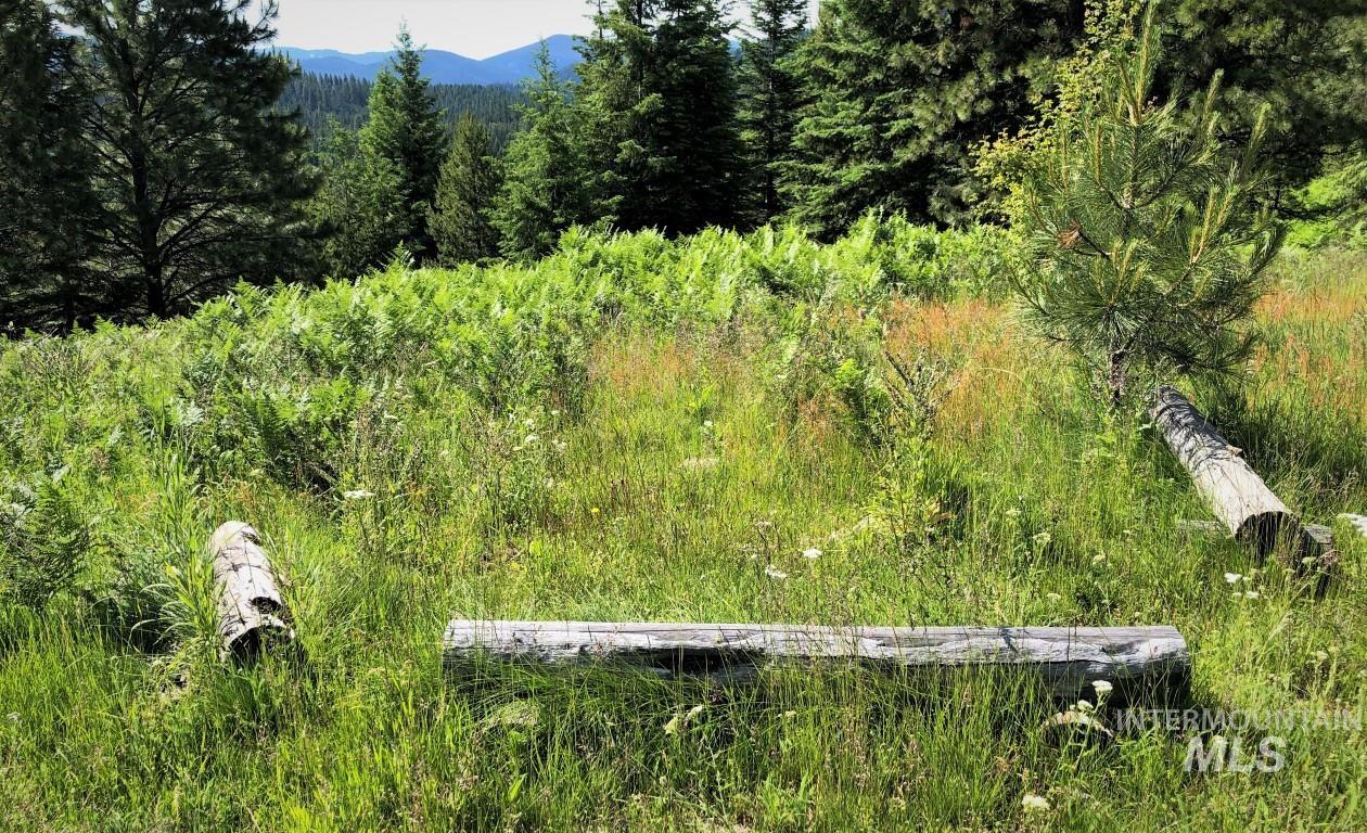 Parcel 5 Hungry Ridge Road, Grangeville, Idaho 83530, Land For Sale, Price $299,000,MLS 98990500