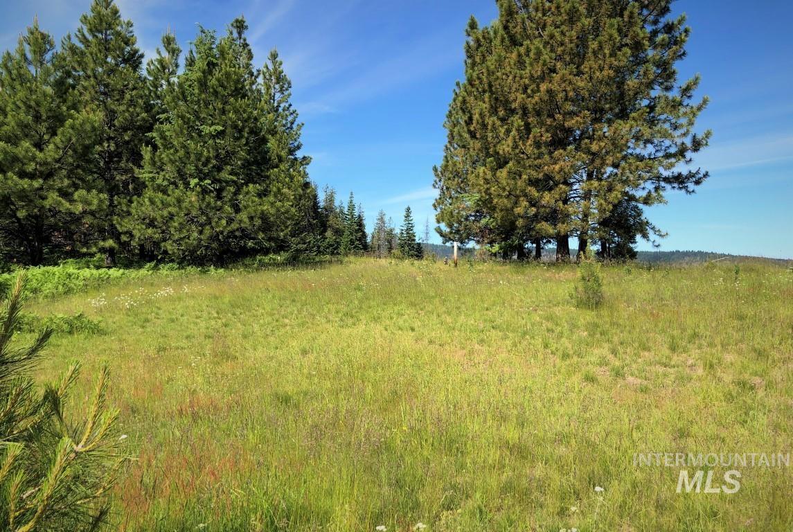 Parcel 5 Hungry Ridge Road, Grangeville, Idaho 83530, Land For Sale, Price $299,000,MLS 98990500