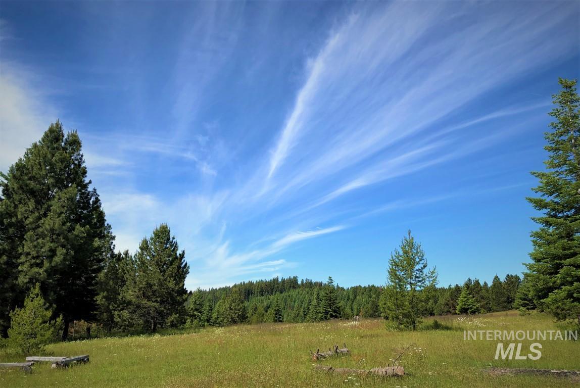 Parcel 5 Hungry Ridge Road, Grangeville, Idaho 83530, Land For Sale, Price $299,000,MLS 98990500