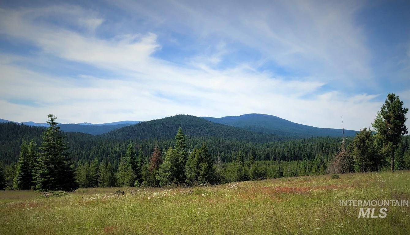 Parcel 5 Hungry Ridge Road, Grangeville, Idaho 83530, Land For Sale, Price $299,000,MLS 98990500