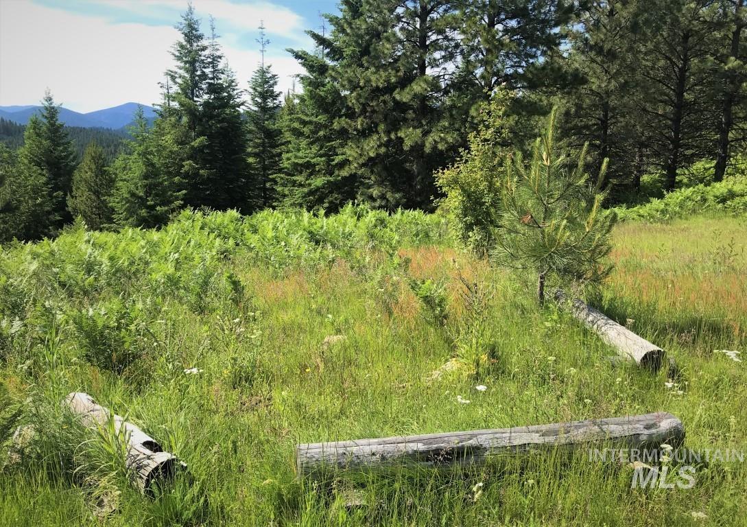 Parcel 5 Hungry Ridge Road, Grangeville, Idaho 83530, Land For Sale, Price $299,000,MLS 98990500
