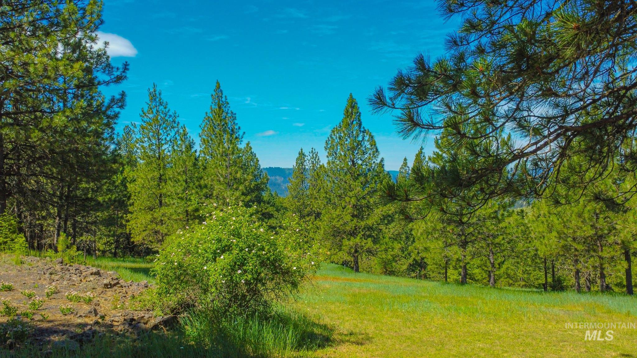 783 Wells Lane, Orofino, Idaho 83544, 3 Bedrooms, 3 Bathrooms, Residential For Sale, Price $515,000,MLS 98990505
