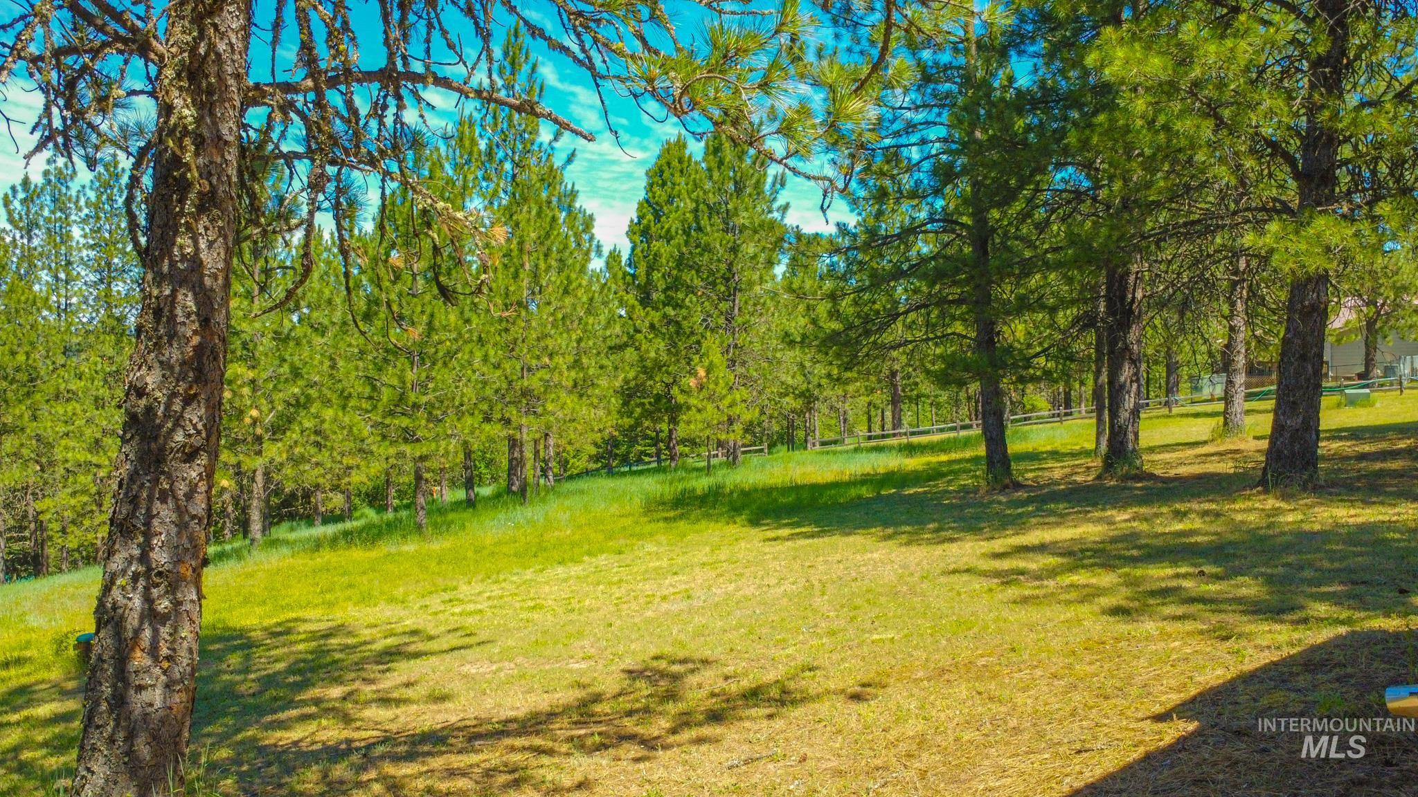 783 Wells Lane, Orofino, Idaho 83544, 3 Bedrooms, 3 Bathrooms, Residential For Sale, Price $515,000,MLS 98990505