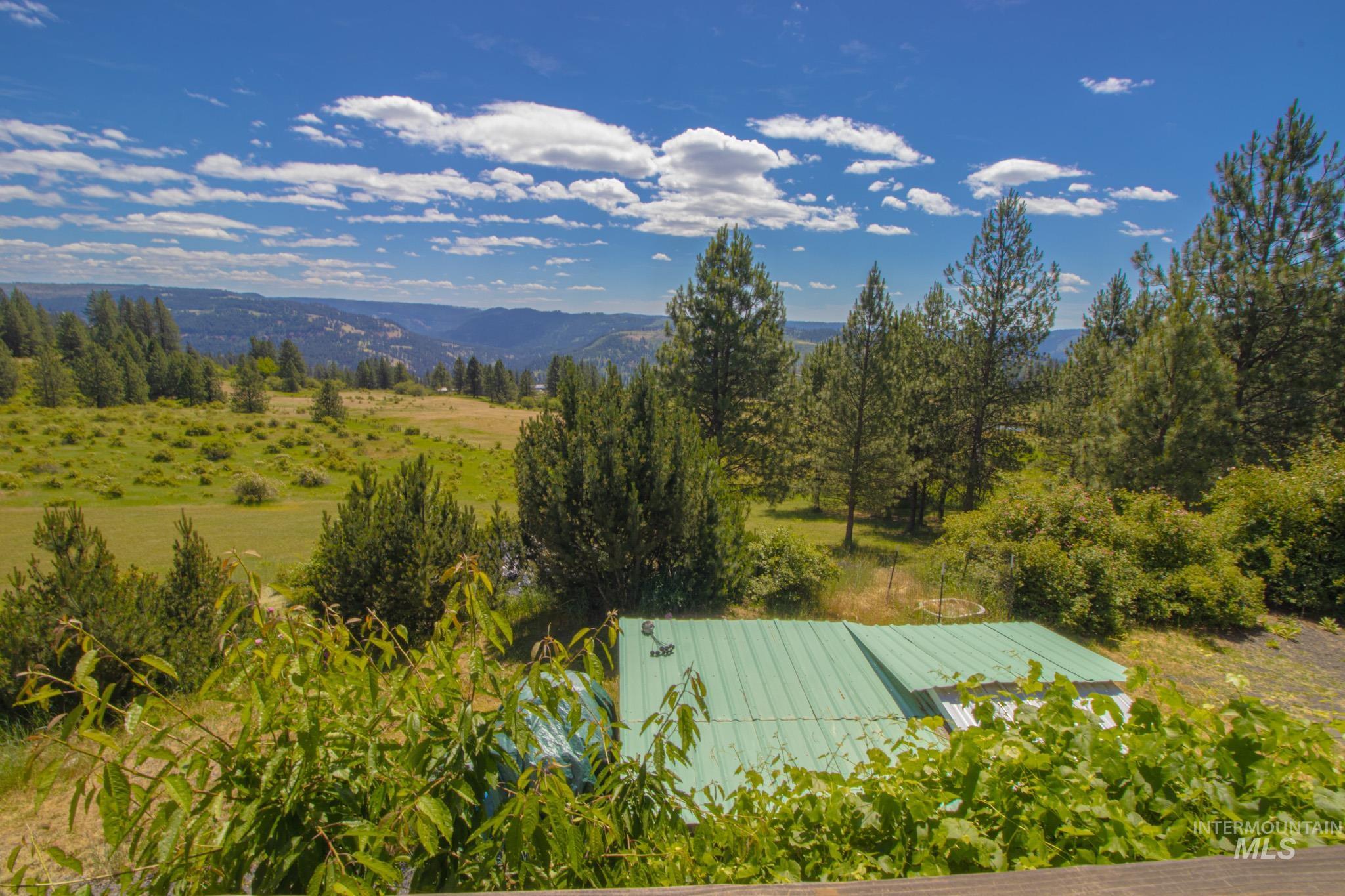 783 Wells Lane, Orofino, Idaho 83544, 3 Bedrooms, 3 Bathrooms, Residential For Sale, Price $515,000,MLS 98990505