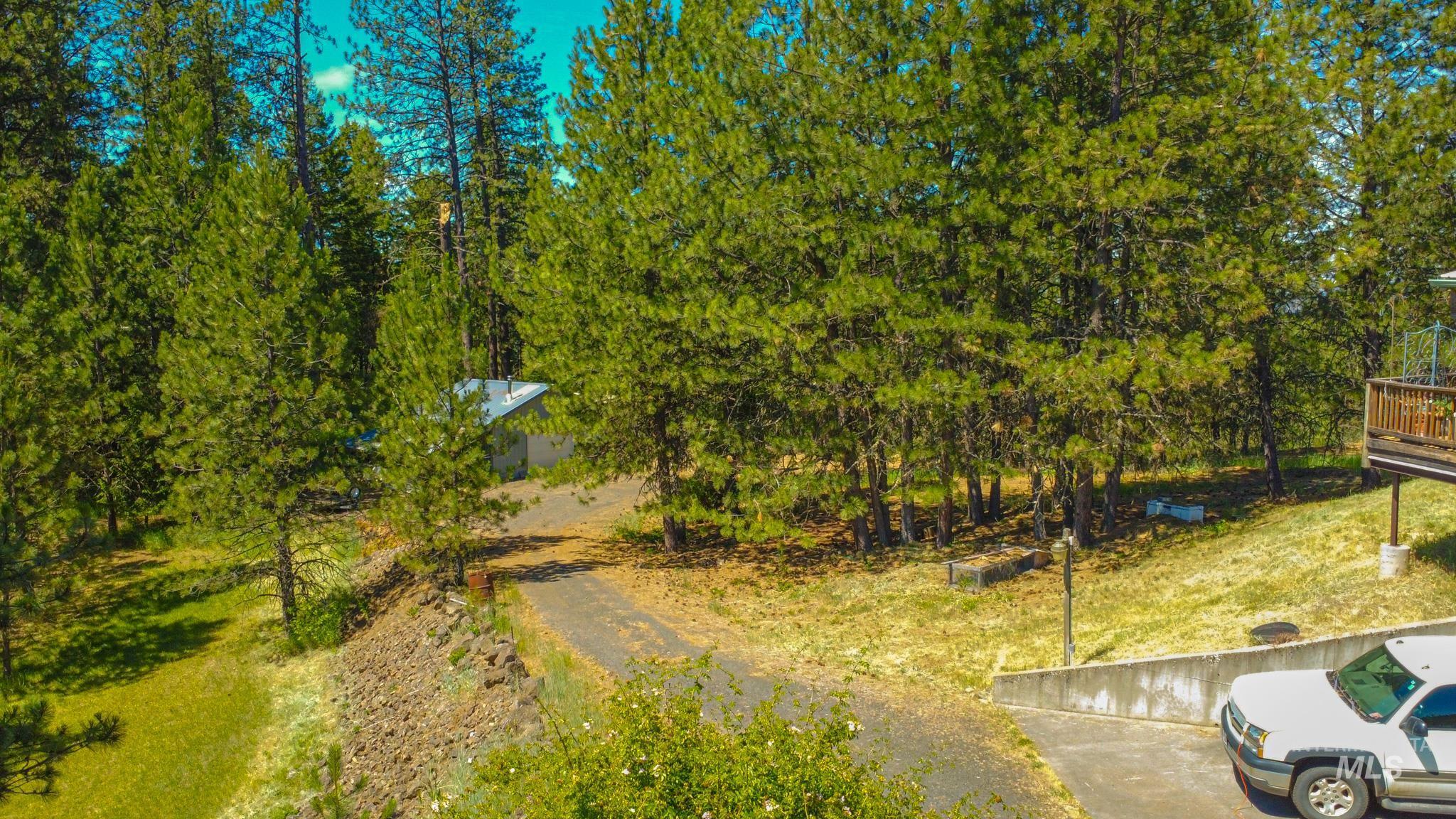 783 Wells Lane, Orofino, Idaho 83544, 3 Bedrooms, 3 Bathrooms, Residential For Sale, Price $515,000,MLS 98990505
