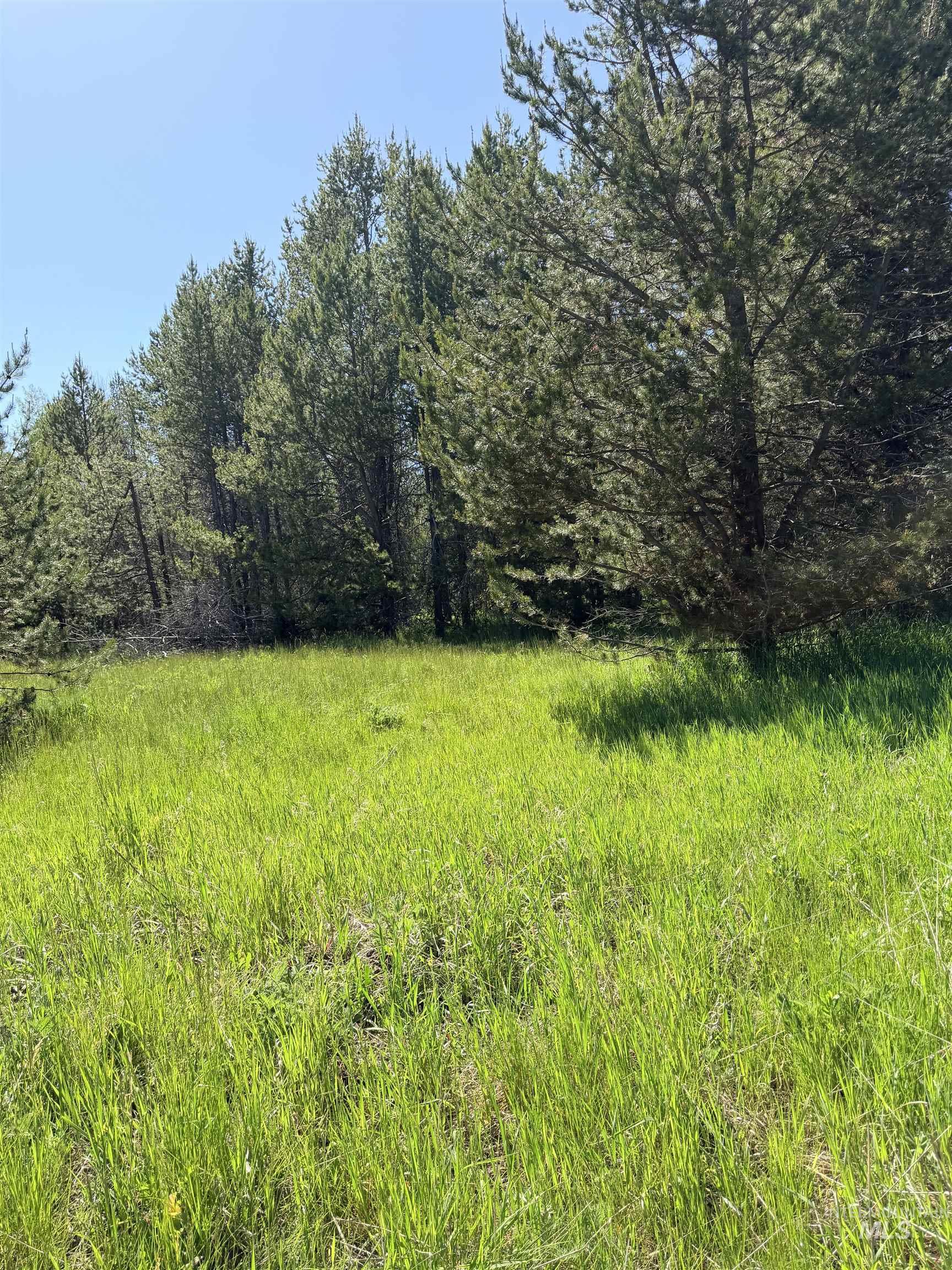 203 Angus Lane, Donnelly, Idaho 83615, Land For Sale, Price $159,000, 98990599