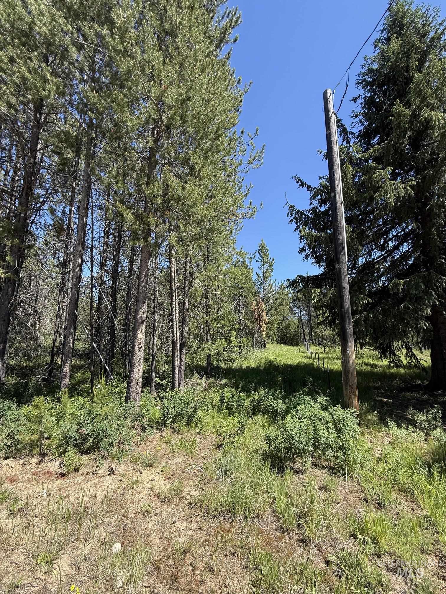 203 Angus Lane, Donnelly, Idaho 83615, Land For Sale, Price $159,000, 98990599