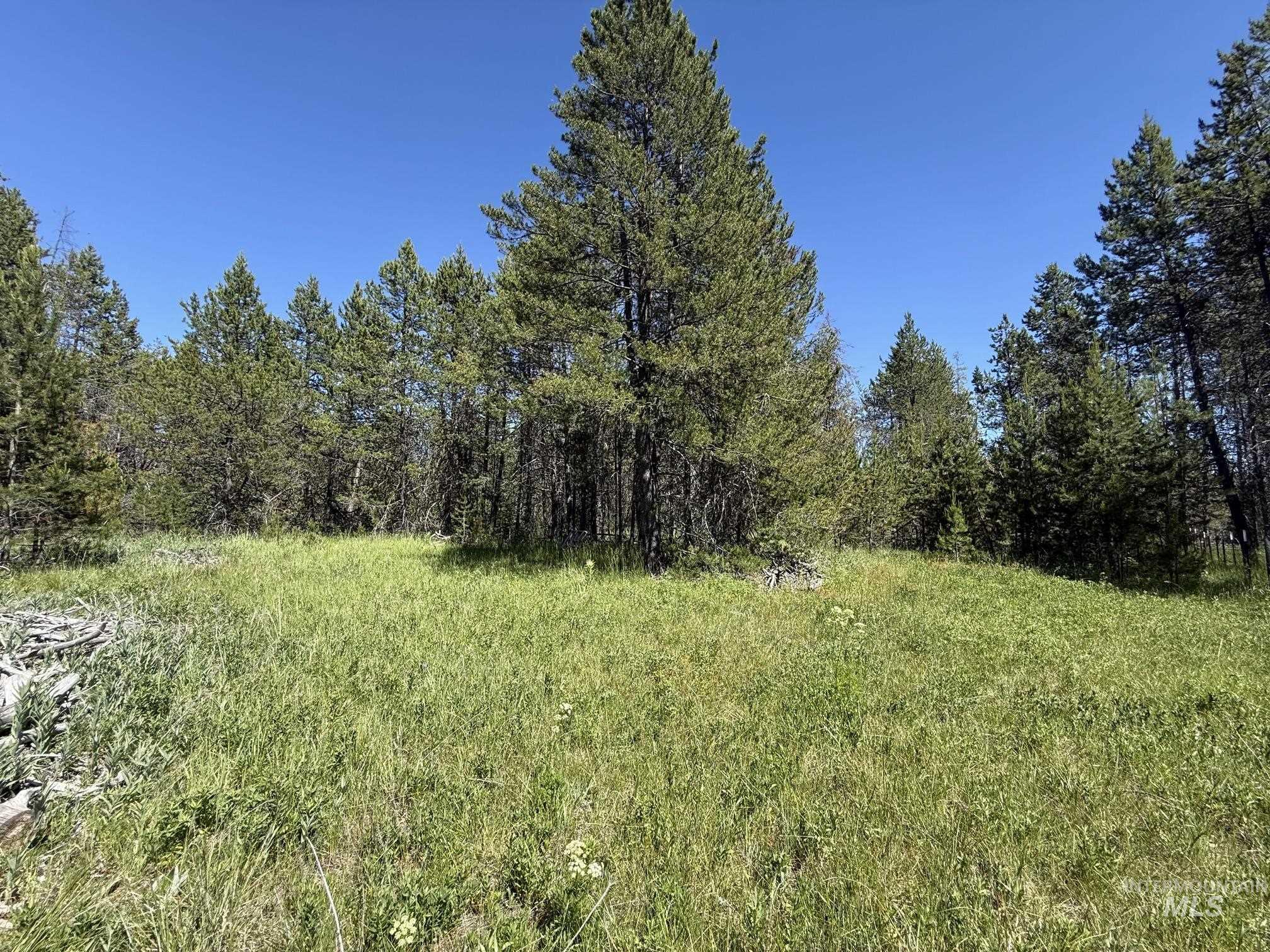 203 Angus Lane, Donnelly, Idaho 83615, Land For Sale, Price $159,000, 98990599