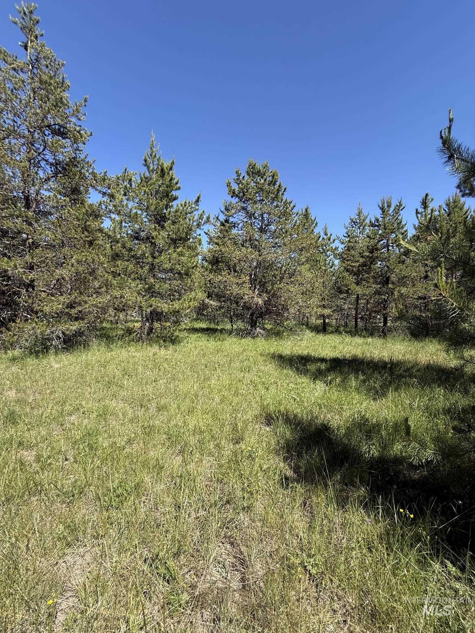 203 Angus Lane, Donnelly, Idaho 83615, Land For Sale, Price $159,000, 98990599