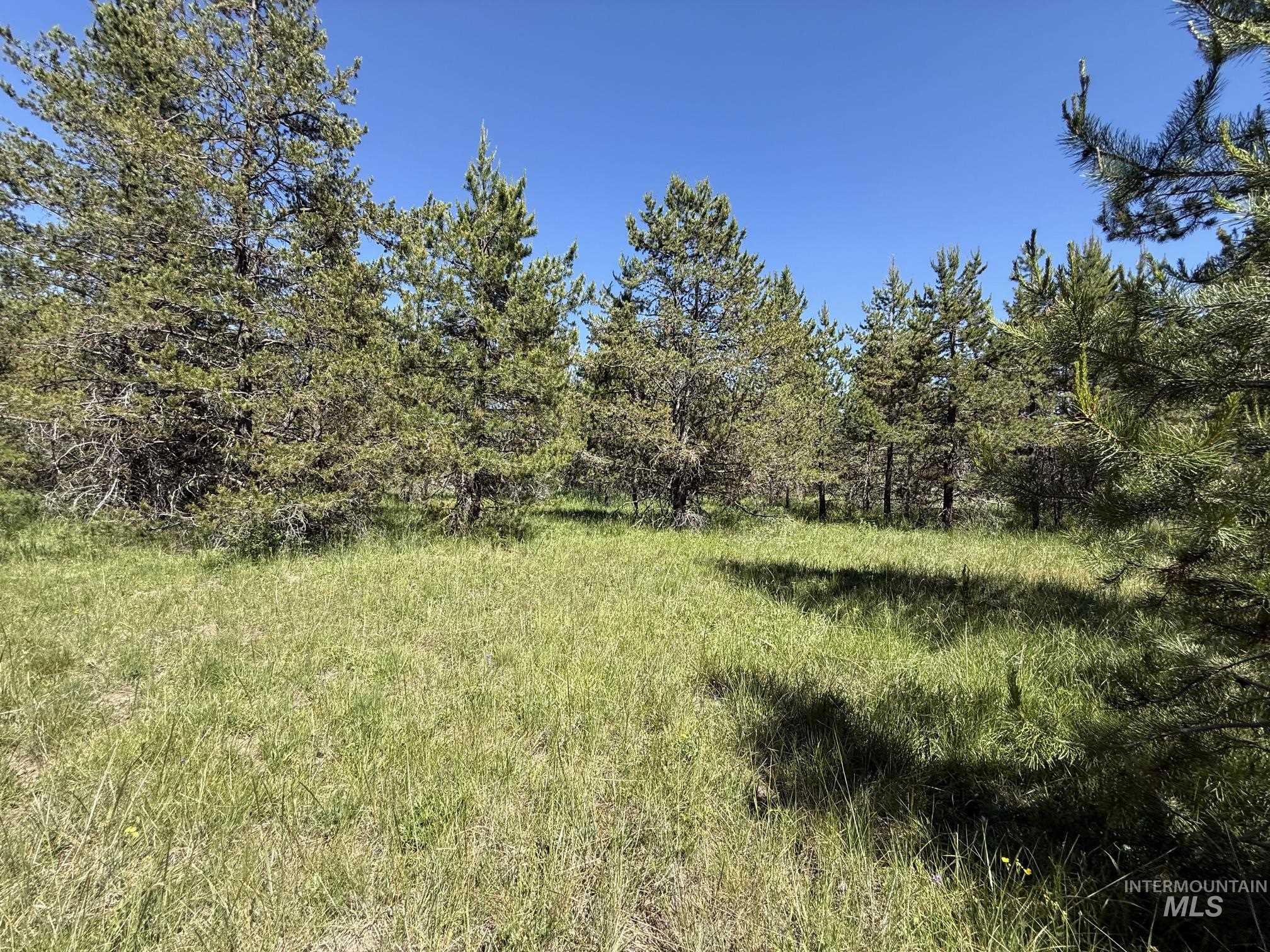 203 Angus Lane, Donnelly, Idaho 83615, Land For Sale, Price $159,000, 98990599