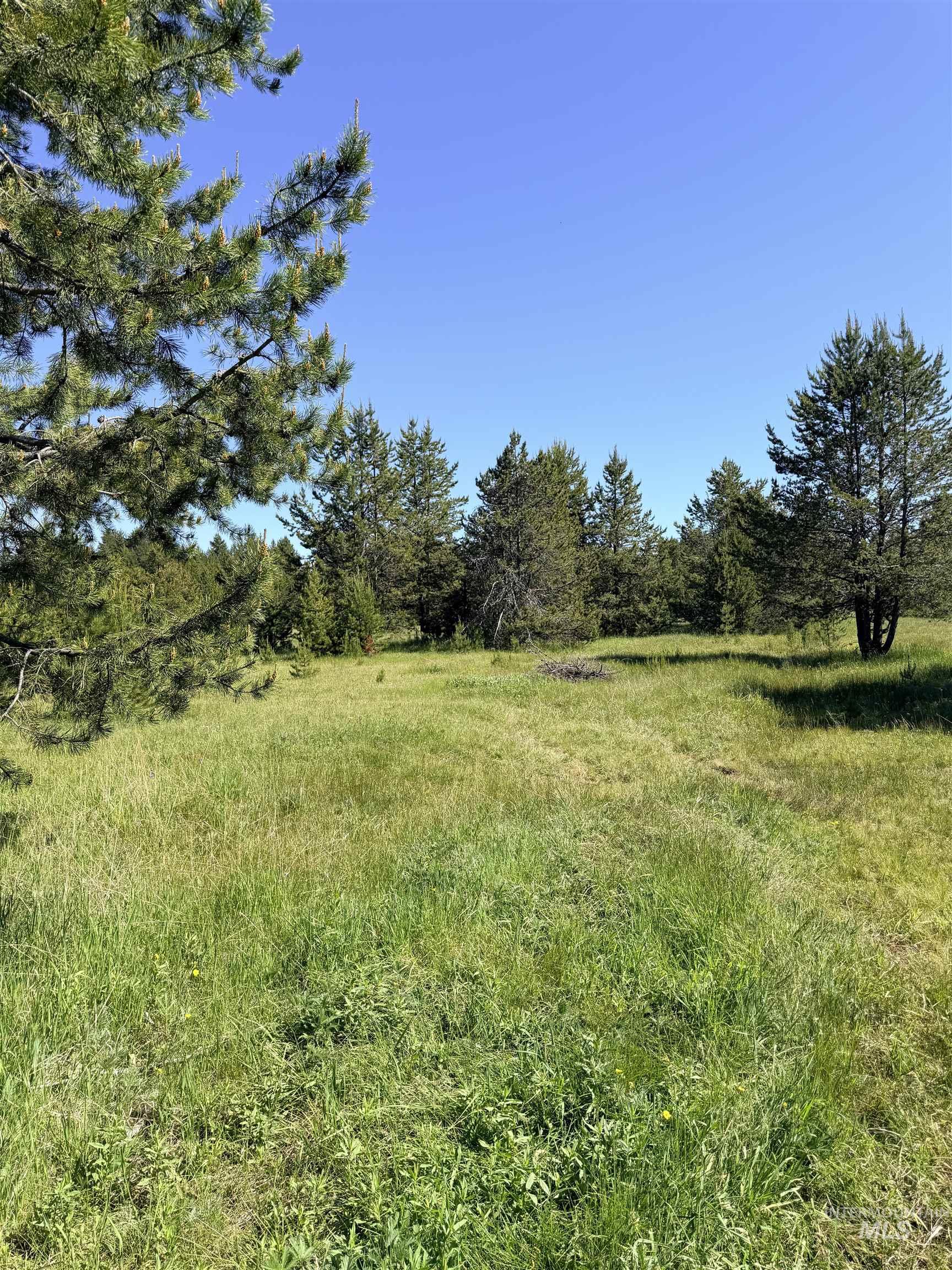 203 Angus Lane, Donnelly, Idaho 83615, Land For Sale, Price $159,000, 98990599