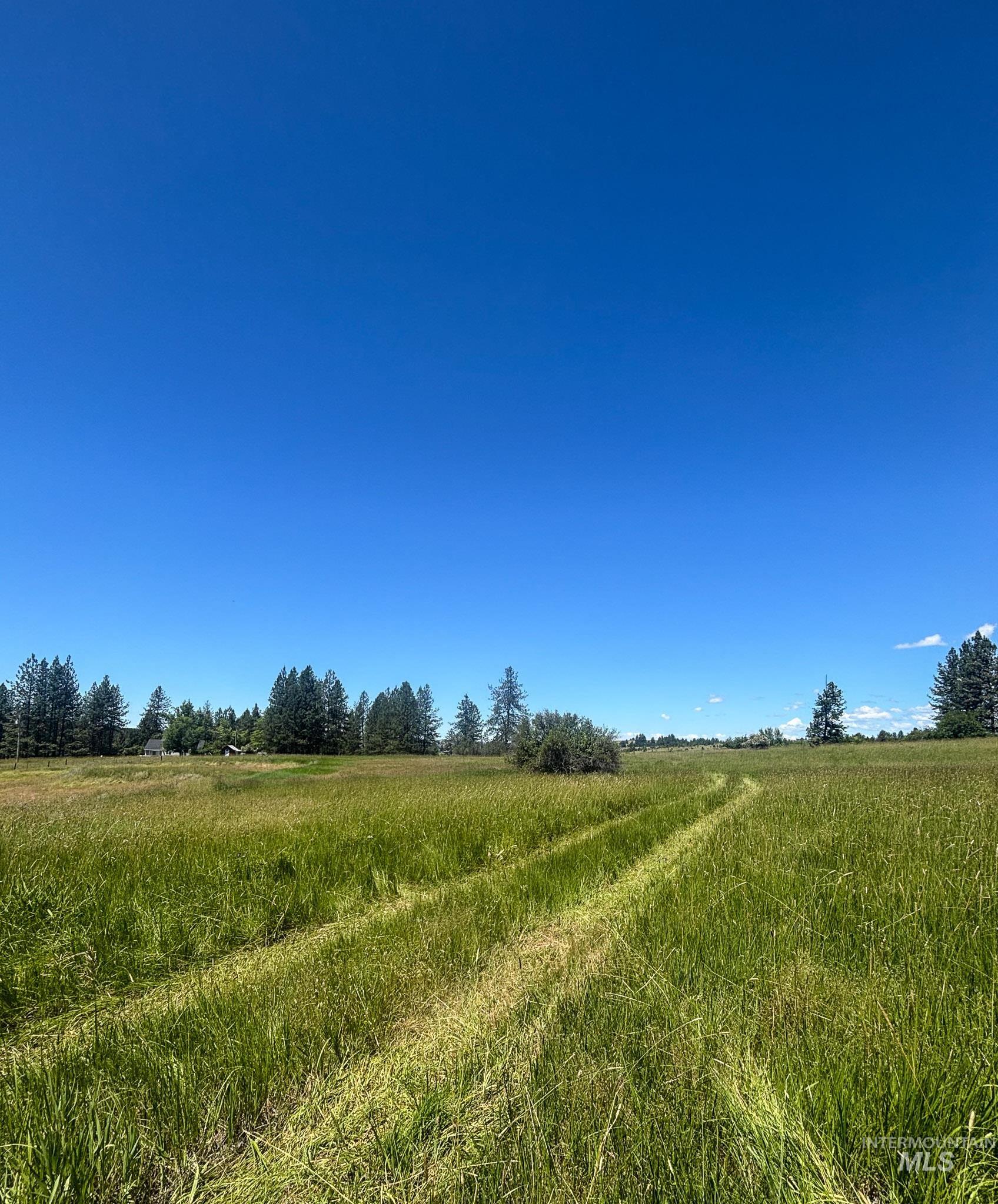 180 Williams Road, Kooskia, Idaho 83439, Land For Sale, Price $150,000, 98990603