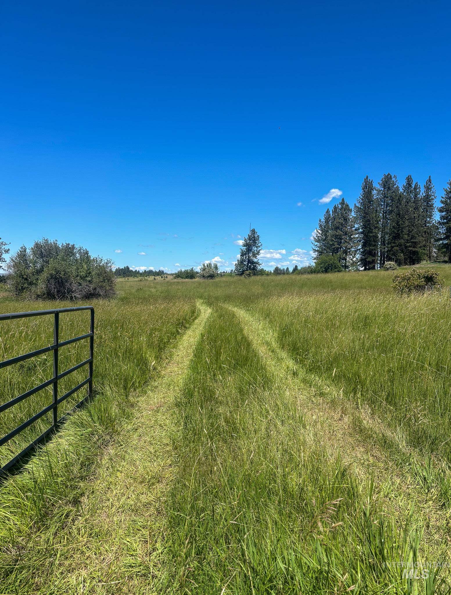 180 Williams Road, Kooskia, Idaho 83439, Land For Sale, Price $150,000, 98990603