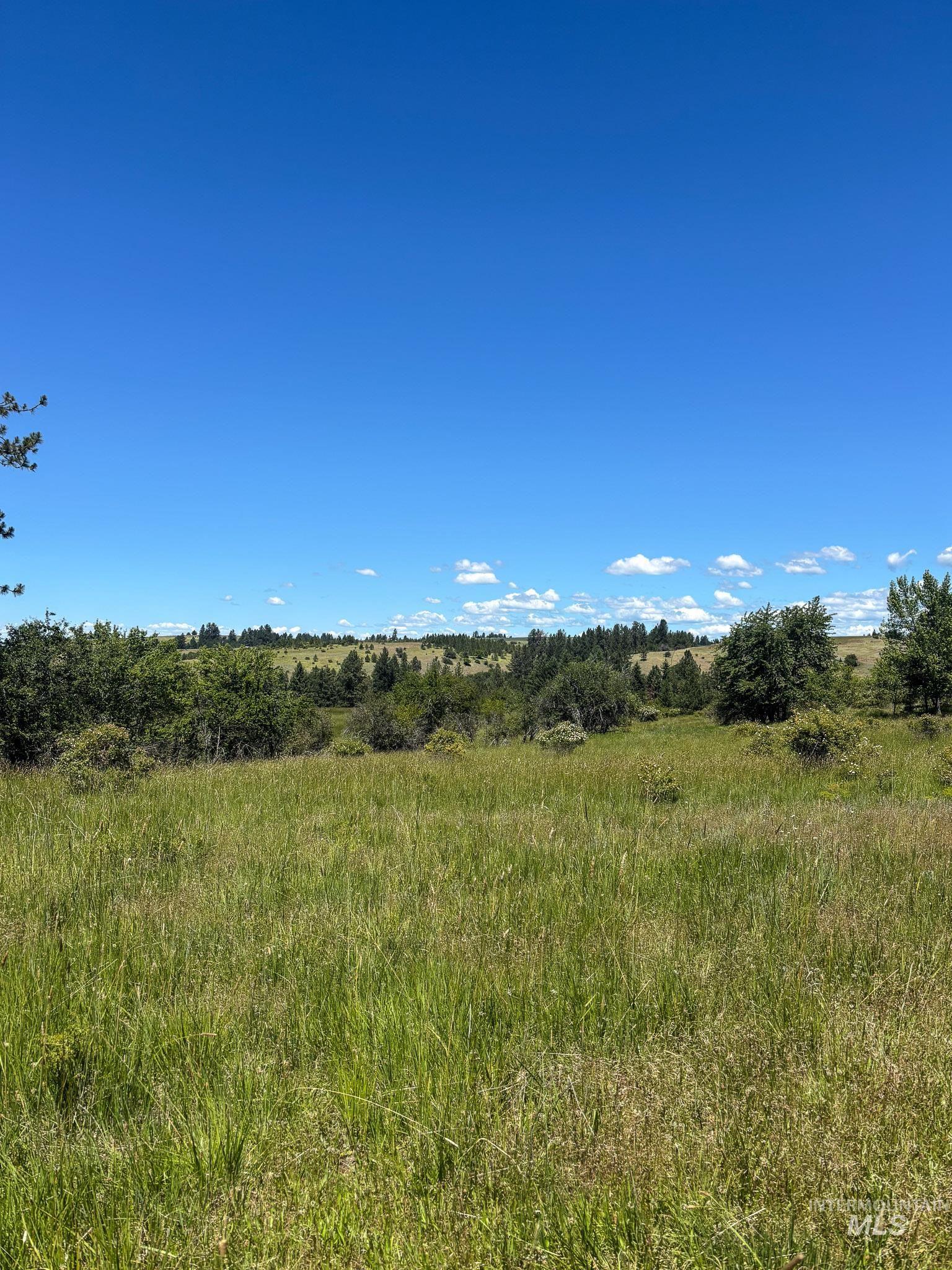 180 Williams Road, Kooskia, Idaho 83439, Land For Sale, Price $150,000, 98990603