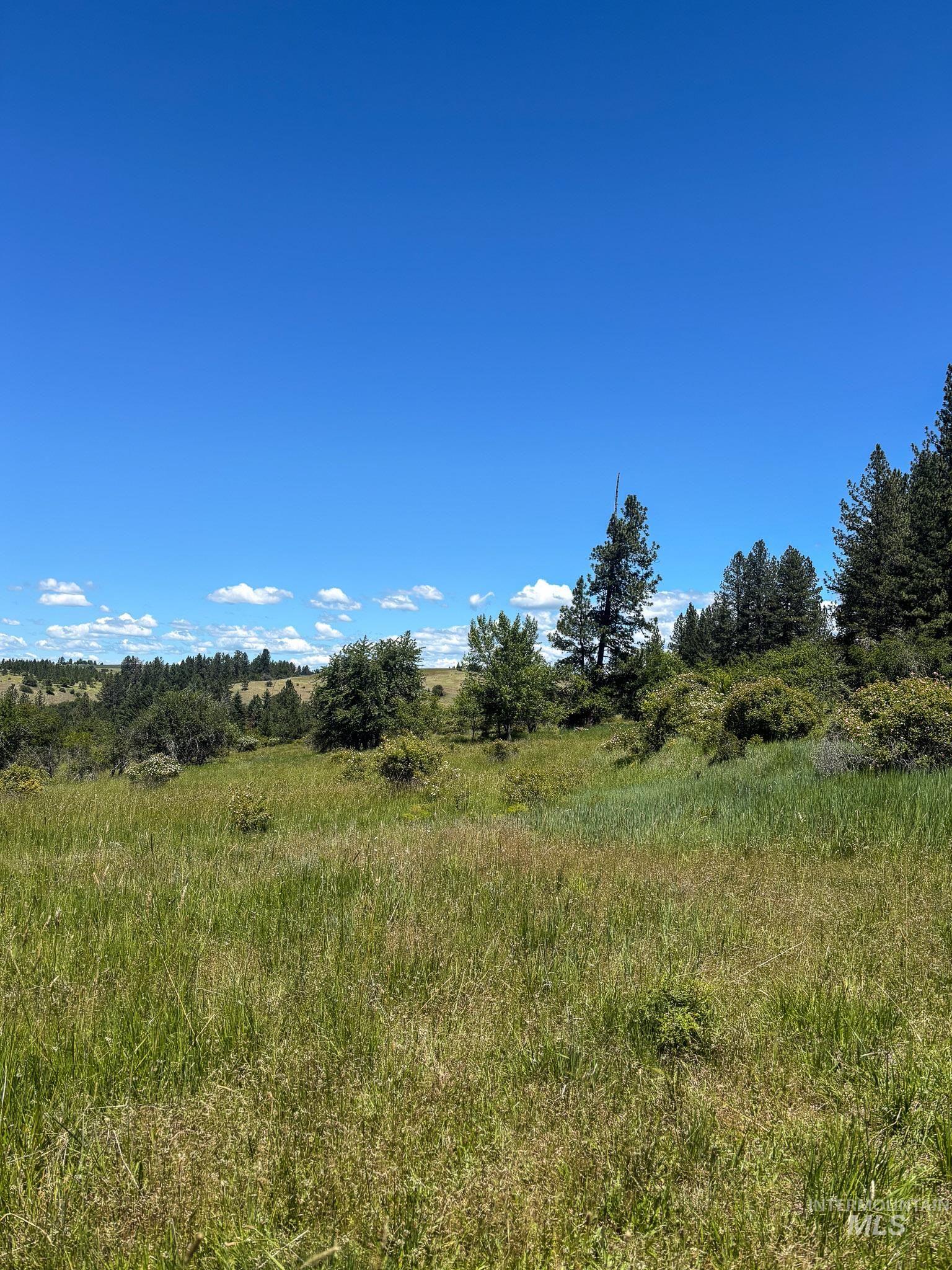 180 Williams Road, Kooskia, Idaho 83439, Land For Sale, Price $150,000, 98990603