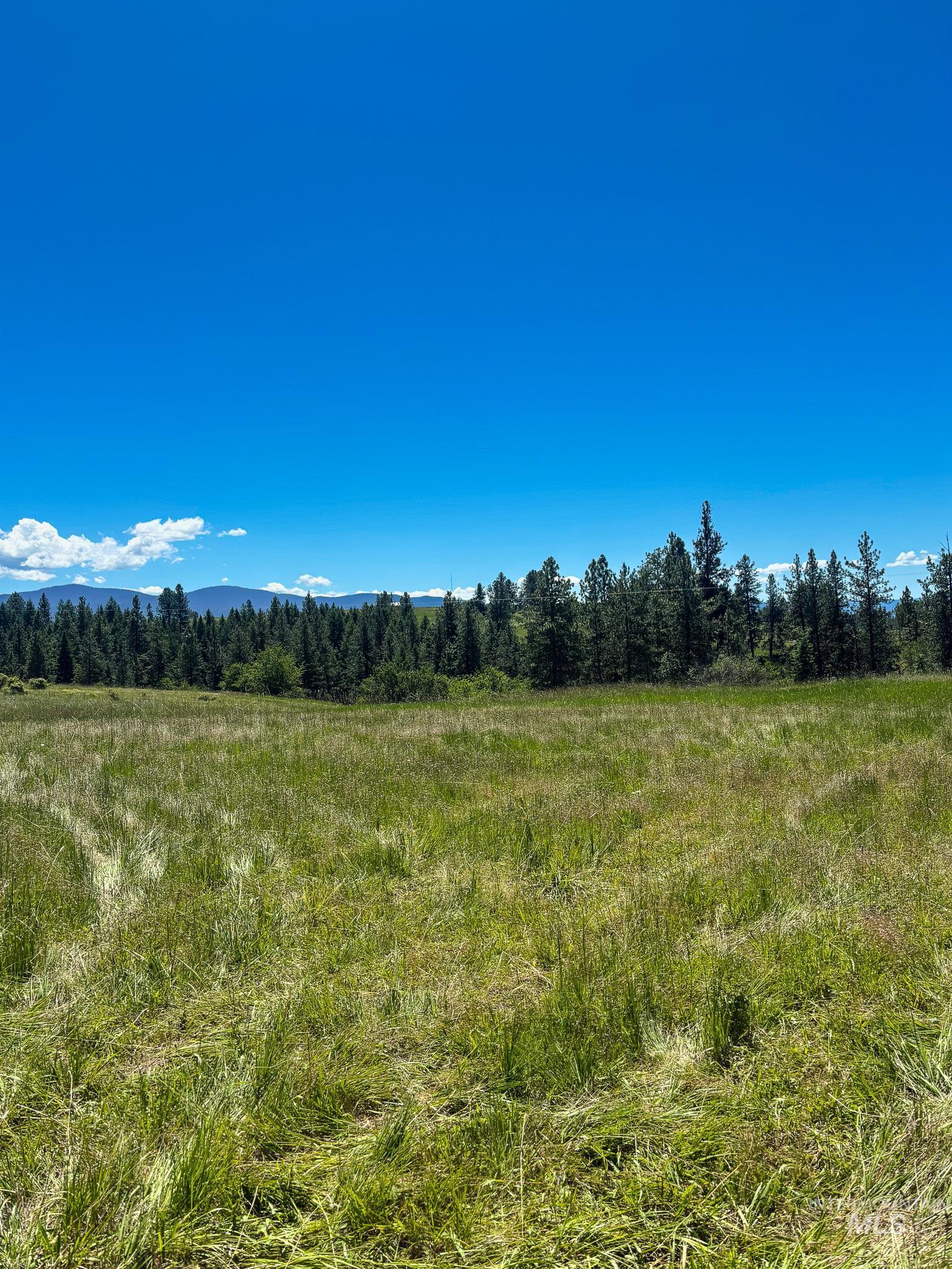 180 Williams Road, Kooskia, Idaho 83439, Land For Sale, Price $150,000, 98990603