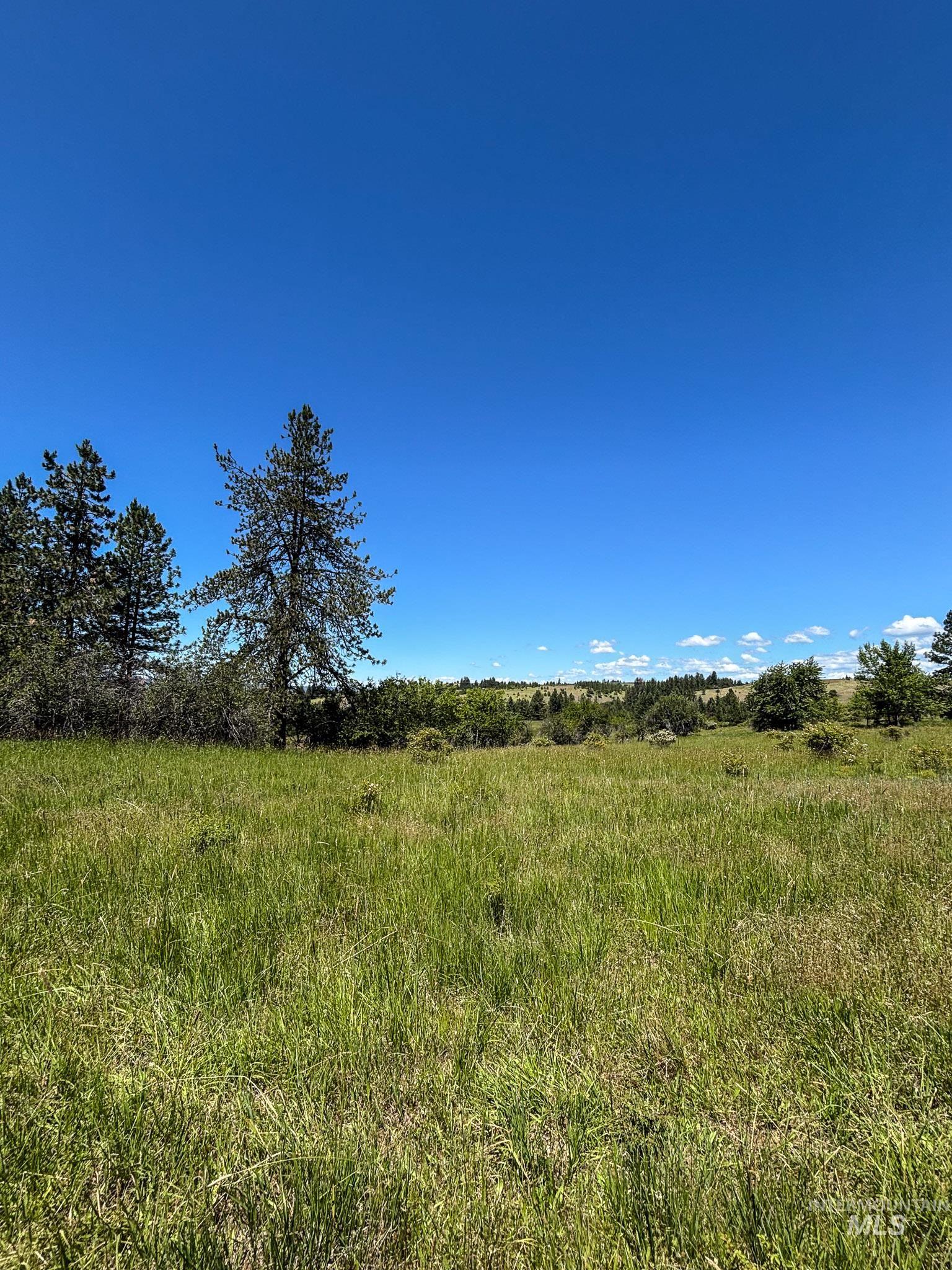 180 Williams Road, Kooskia, Idaho 83439, Land For Sale, Price $150,000, 98990603