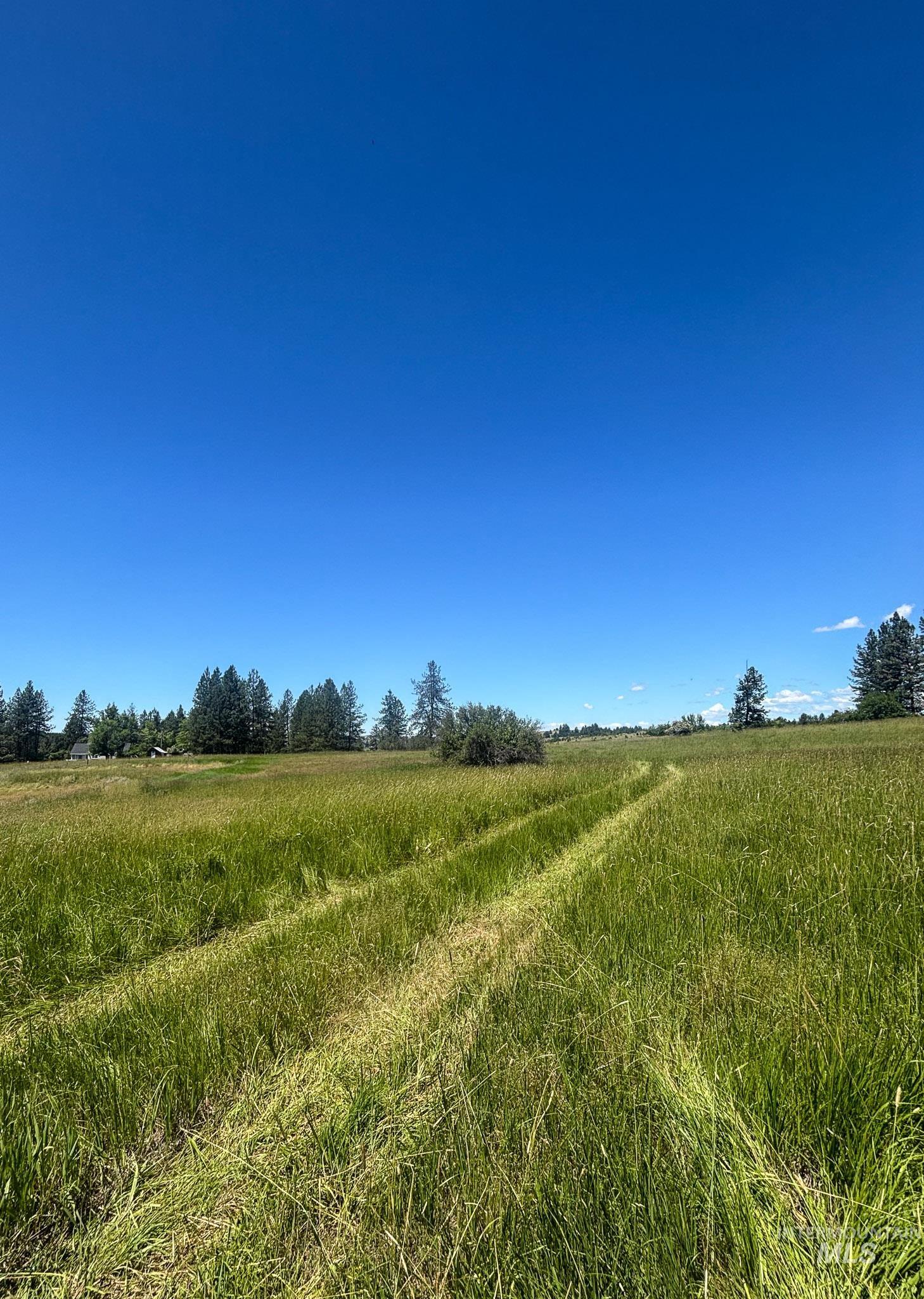 180 Williams Road, Kooskia, Idaho 83439, Land For Sale, Price $150,000, 98990603