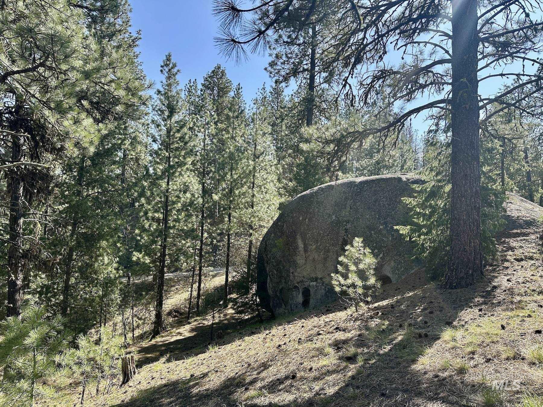 37 Stanley Dr, Cascade, Idaho 83611, Land For Sale, Price $175,000, 98990608