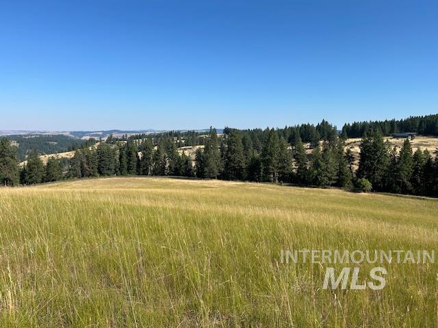 Parcel 13 Red Fir Road, Kooskia, Idaho 83539, Land For Sale, Price $162,500, 98990638