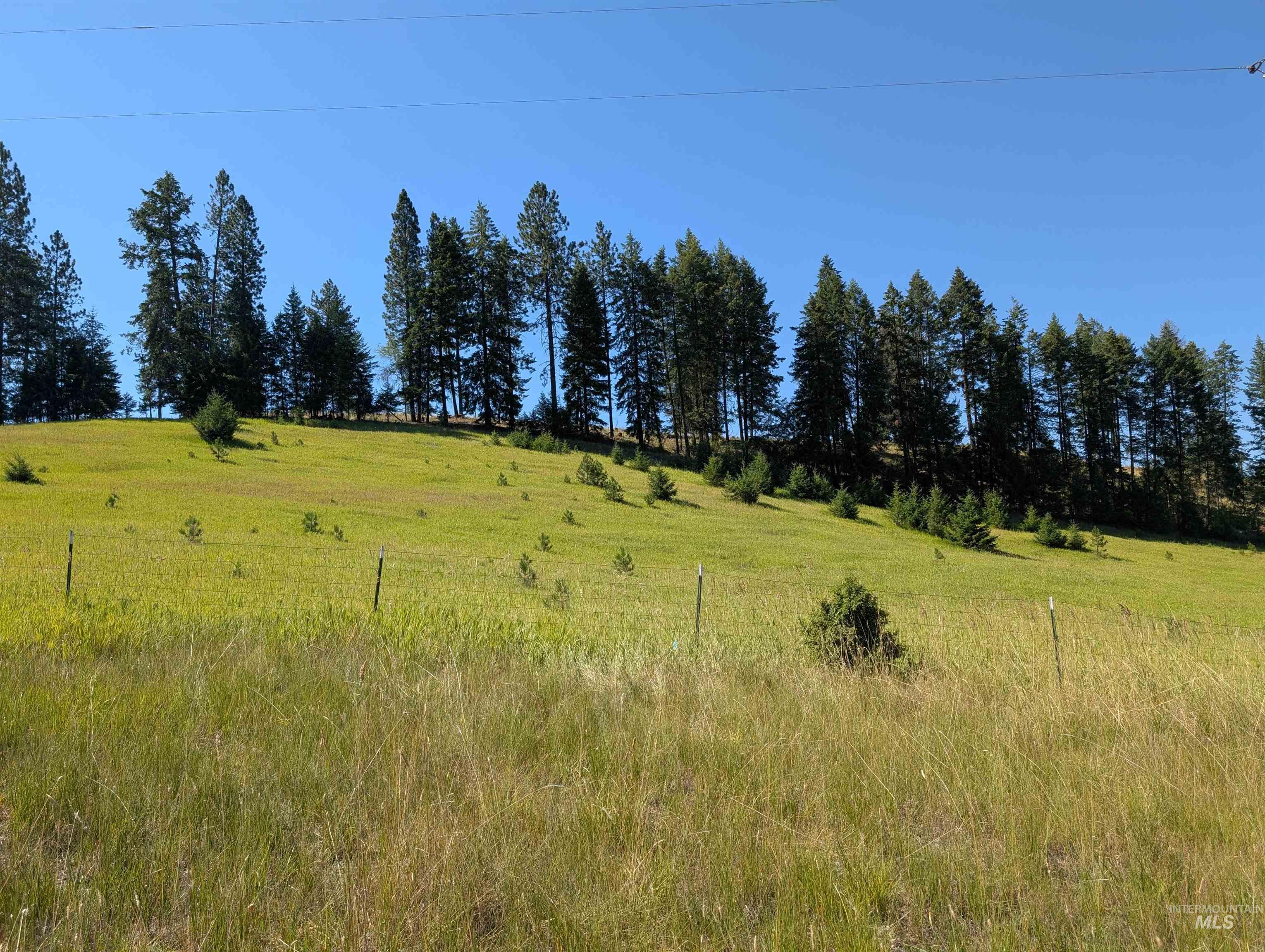 Parcel 13 Red Fir Road, Kooskia, Idaho 83539, Land For Sale, Price $162,500, 98990638