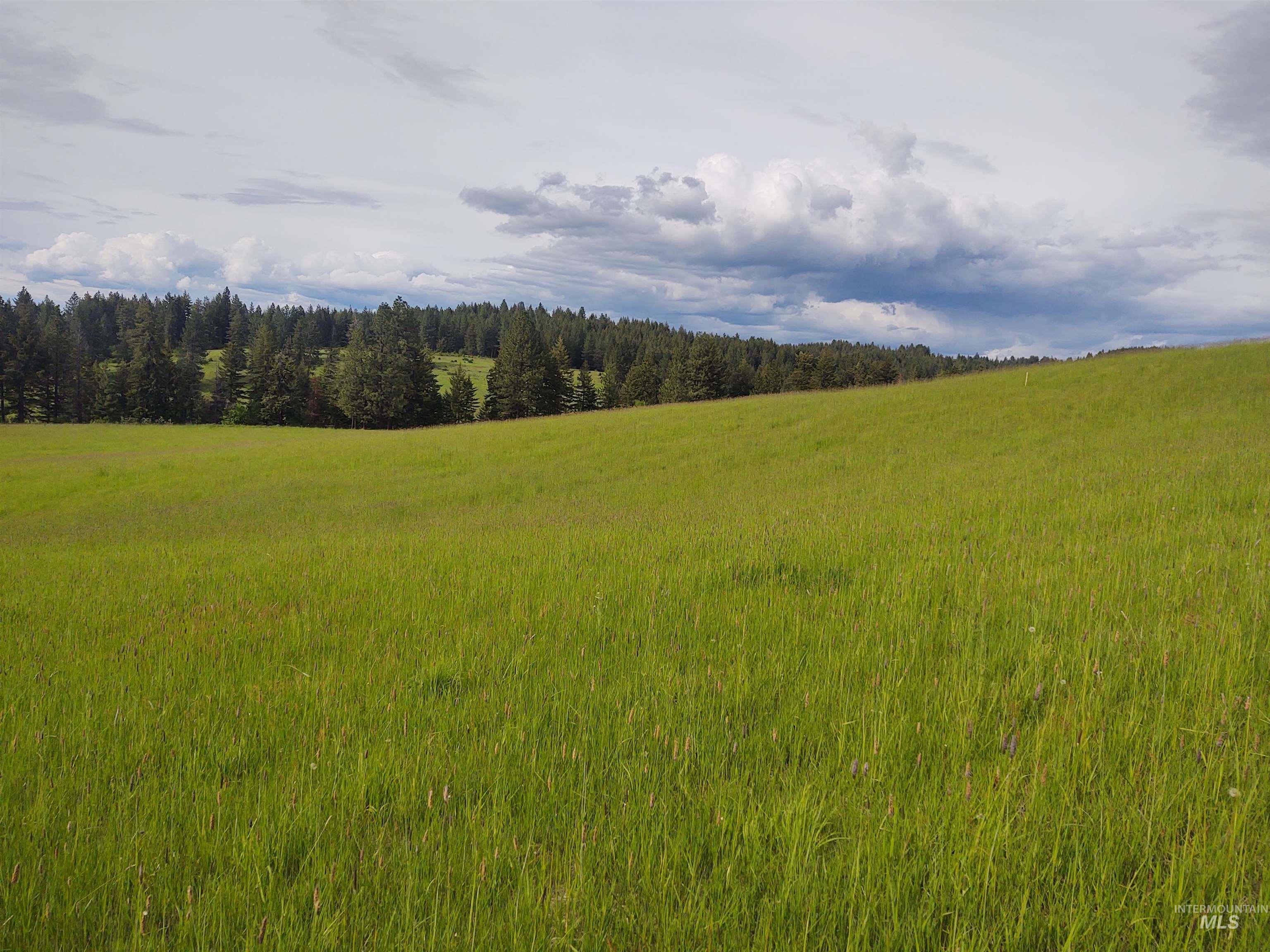 Parcel 13 Red Fir Road, Kooskia, Idaho 83539, Land For Sale, Price $162,500, 98990638