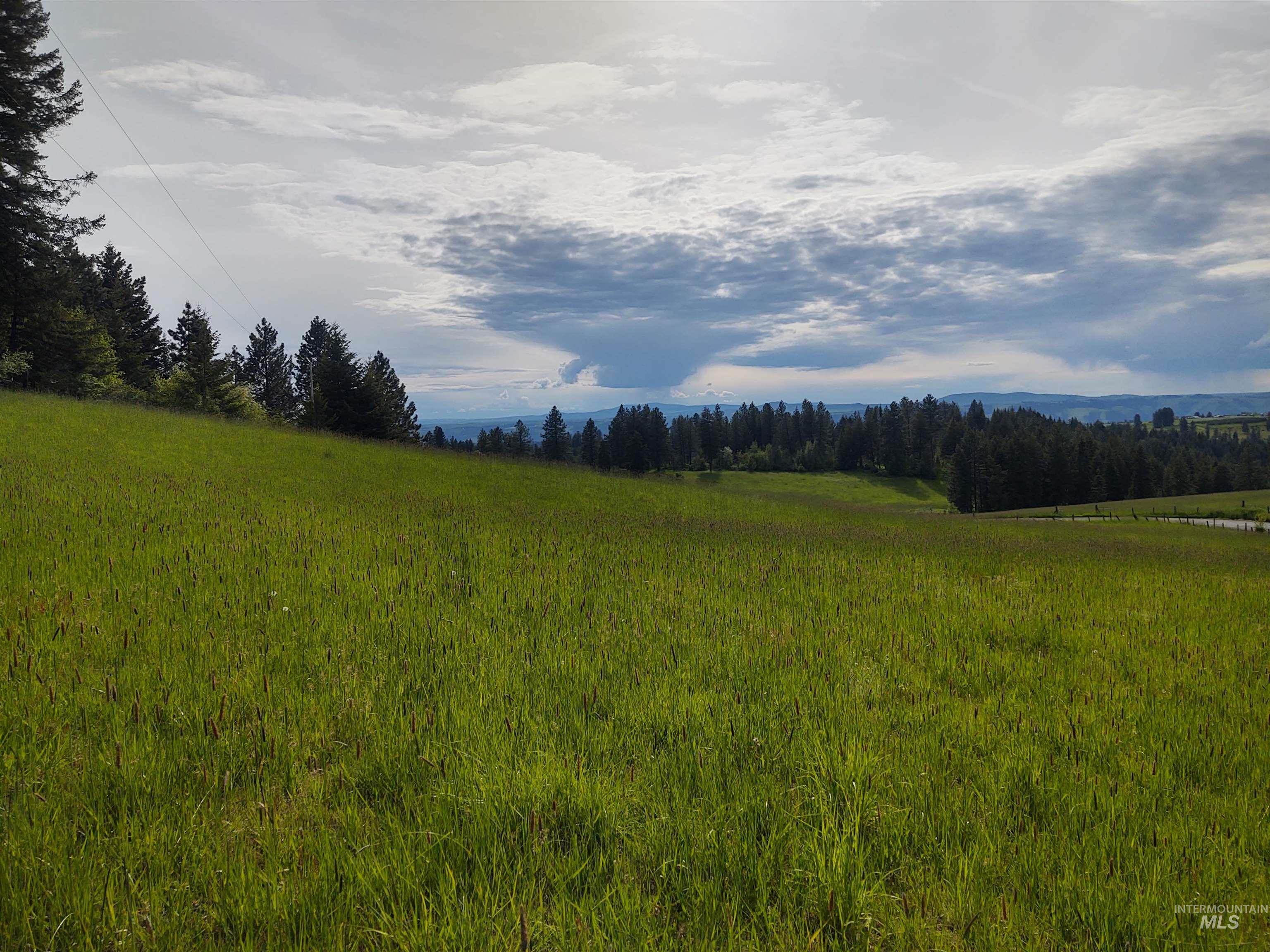 Parcel 13 Red Fir Road, Kooskia, Idaho 83539, Land For Sale, Price $162,500, 98990638
