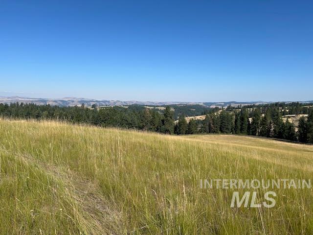 Parcel 13 Red Fir Road, Kooskia, Idaho 83539, Land For Sale, Price $162,500, 98990638