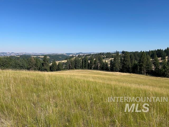 Parcel 13 Red Fir Road, Kooskia, Idaho 83539, Land For Sale, Price $162,500, 98990638