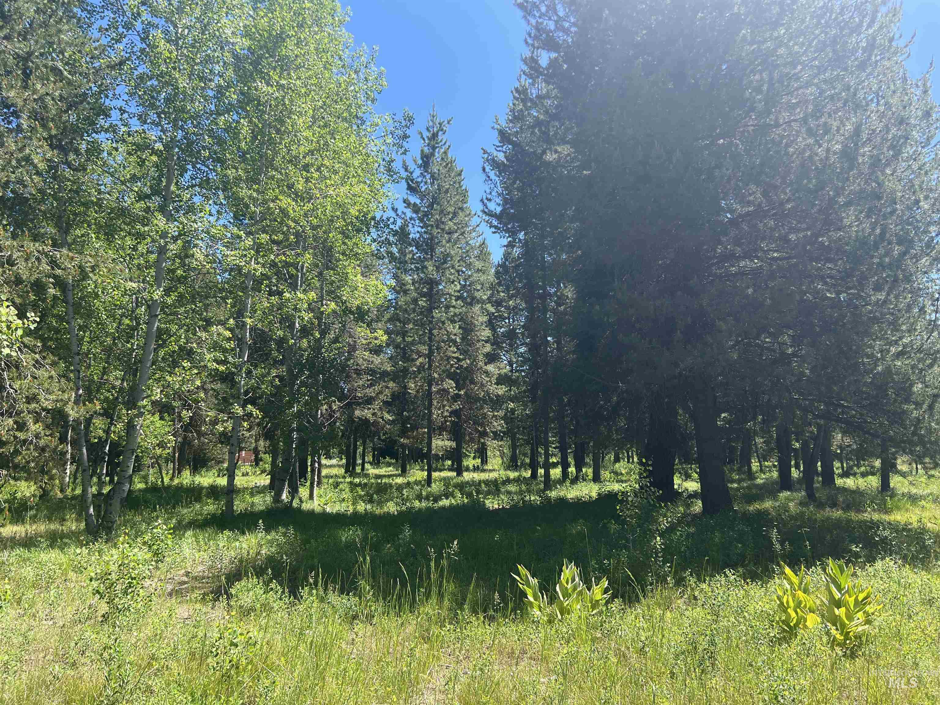 Lot 1 Chad Drive, McCall, Idaho 83638, Land For Sale, Price $299,000, 98990646