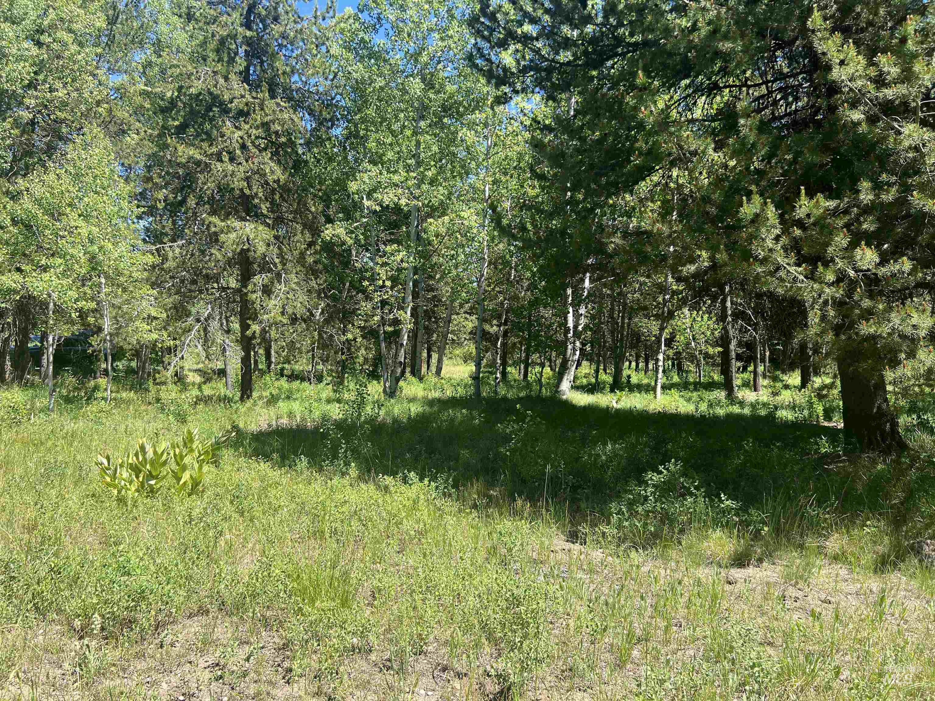 Lot 1 Chad Drive, McCall, Idaho 83638, Land For Sale, Price $299,000, 98990646
