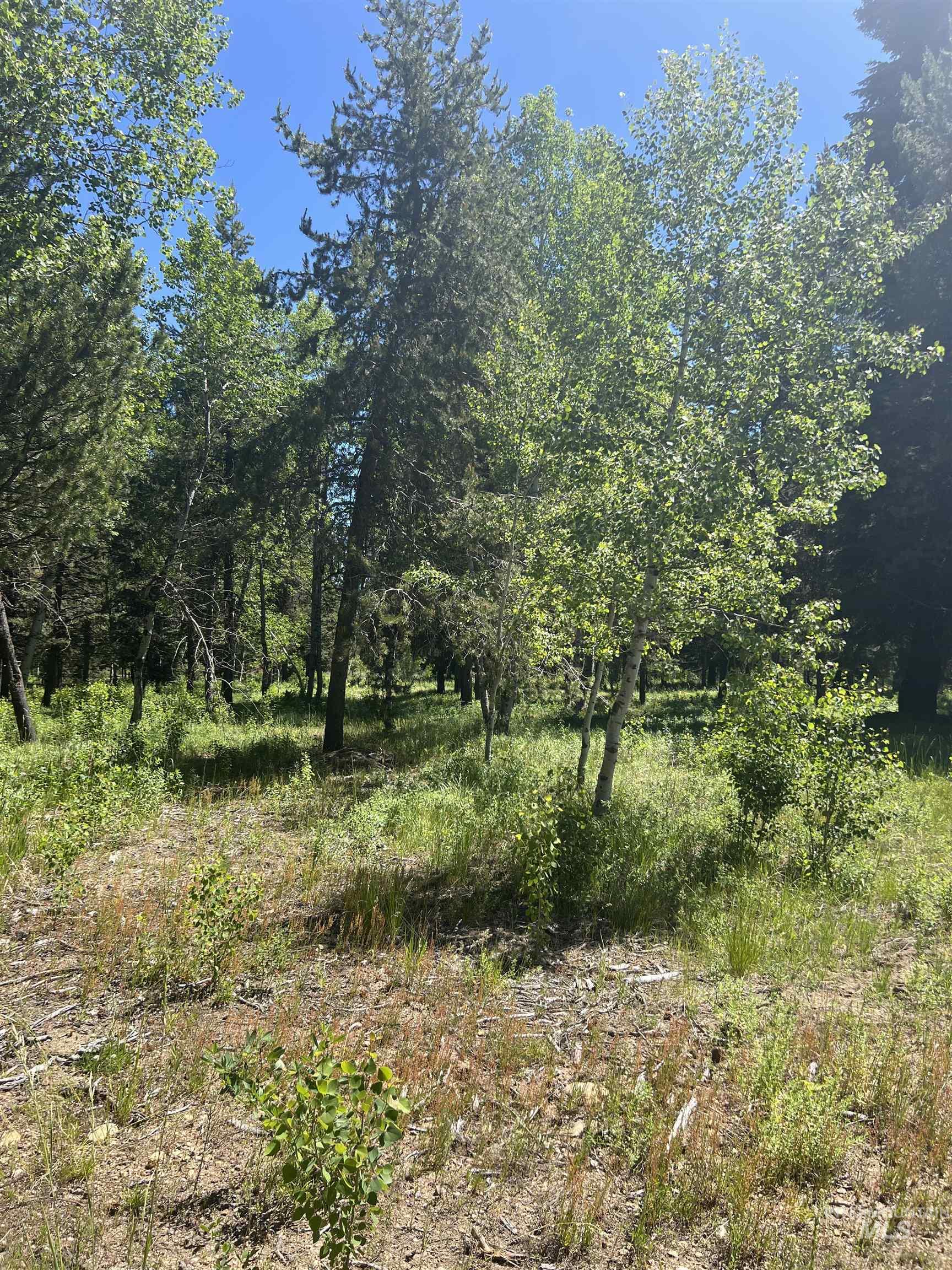 Lot 1 Chad Drive, McCall, Idaho 83638, Land For Sale, Price $299,000, 98990646