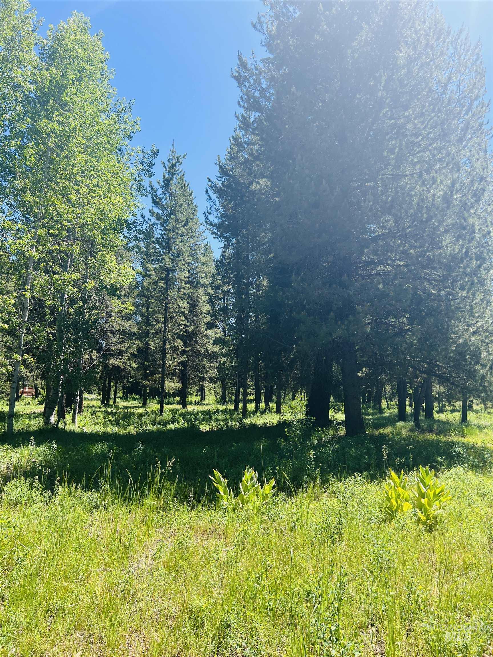 Lot 1 Chad Drive, McCall, Idaho 83638, Land For Sale, Price $299,000, 98990646
