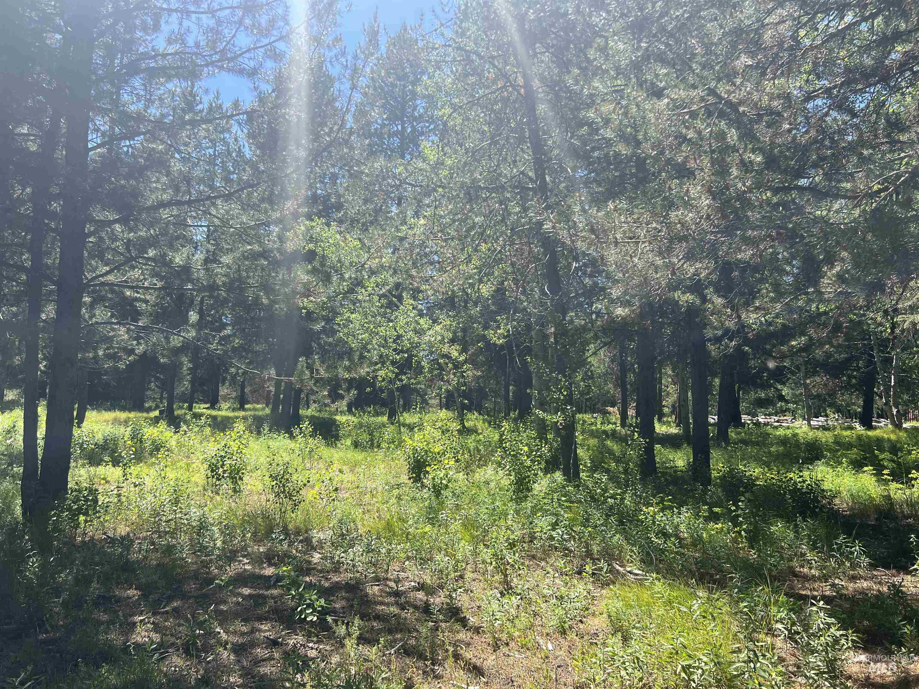 Lot 1 Chad Drive, McCall, Idaho 83638, Land For Sale, Price $299,000, 98990646