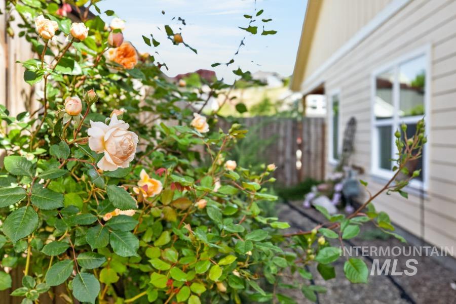 2033 Westview Dr., Moscow, Idaho 83843, 4 Bedrooms, 2 Bathrooms, Residential For Sale, Price $650,000,MLS 98990682