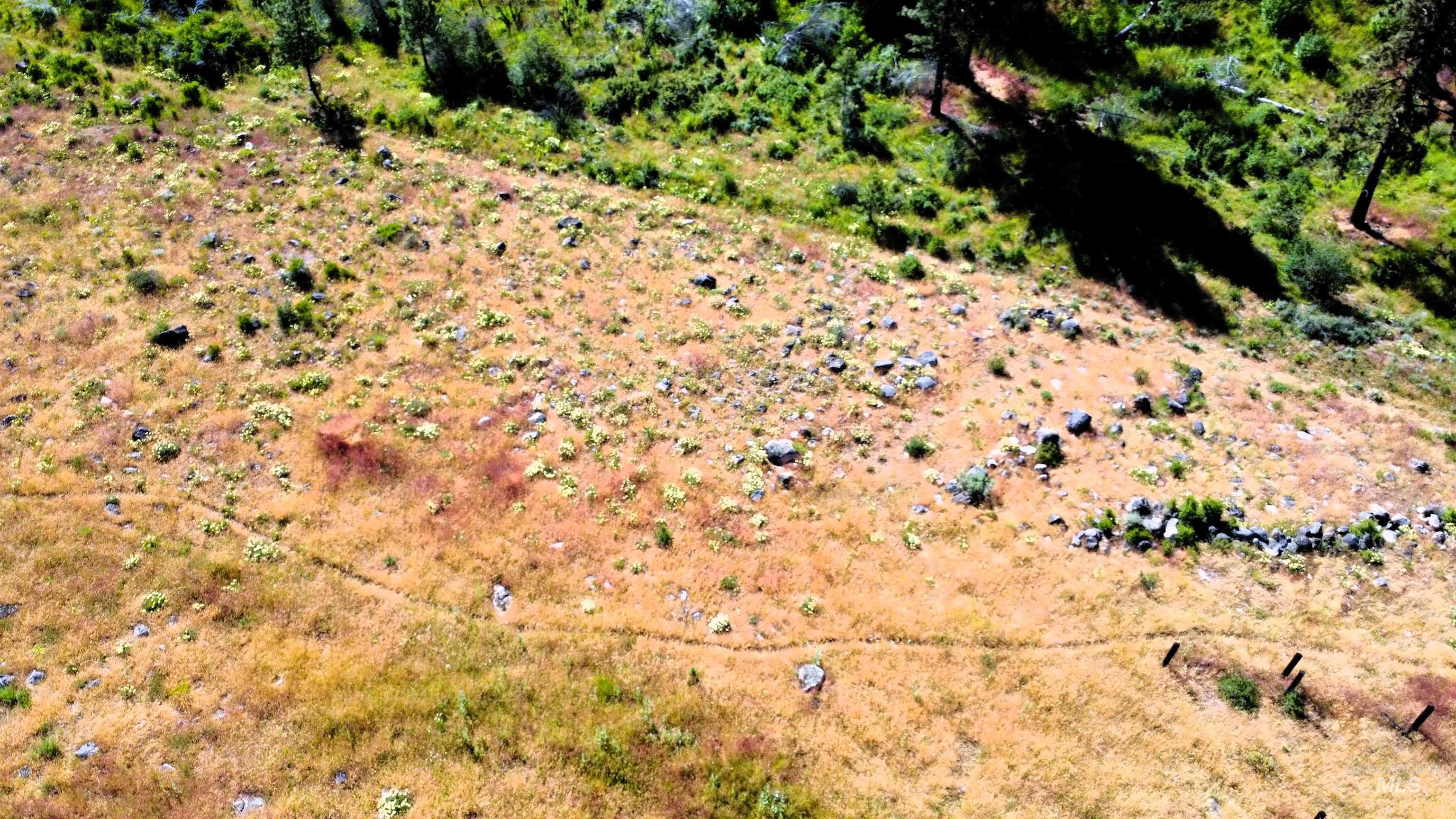 TBD Lot 1 Advent Gulch Rd, Cambridge, Idaho 83610, Land For Sale, Price $185,000, 98990721