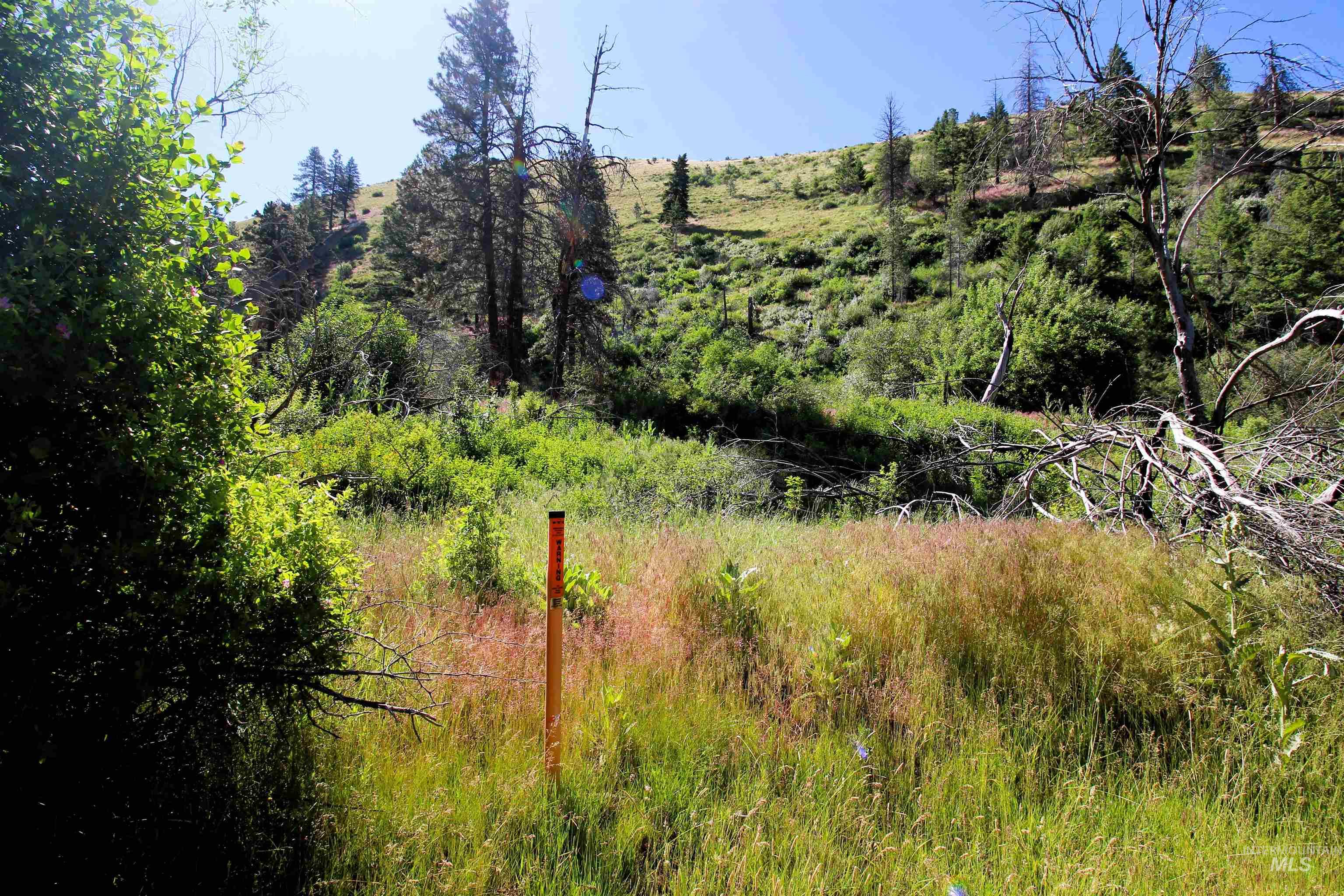 TBD Lot 1 Advent Gulch Rd, Cambridge, Idaho 83610, Land For Sale, Price $185,000, 98990721
