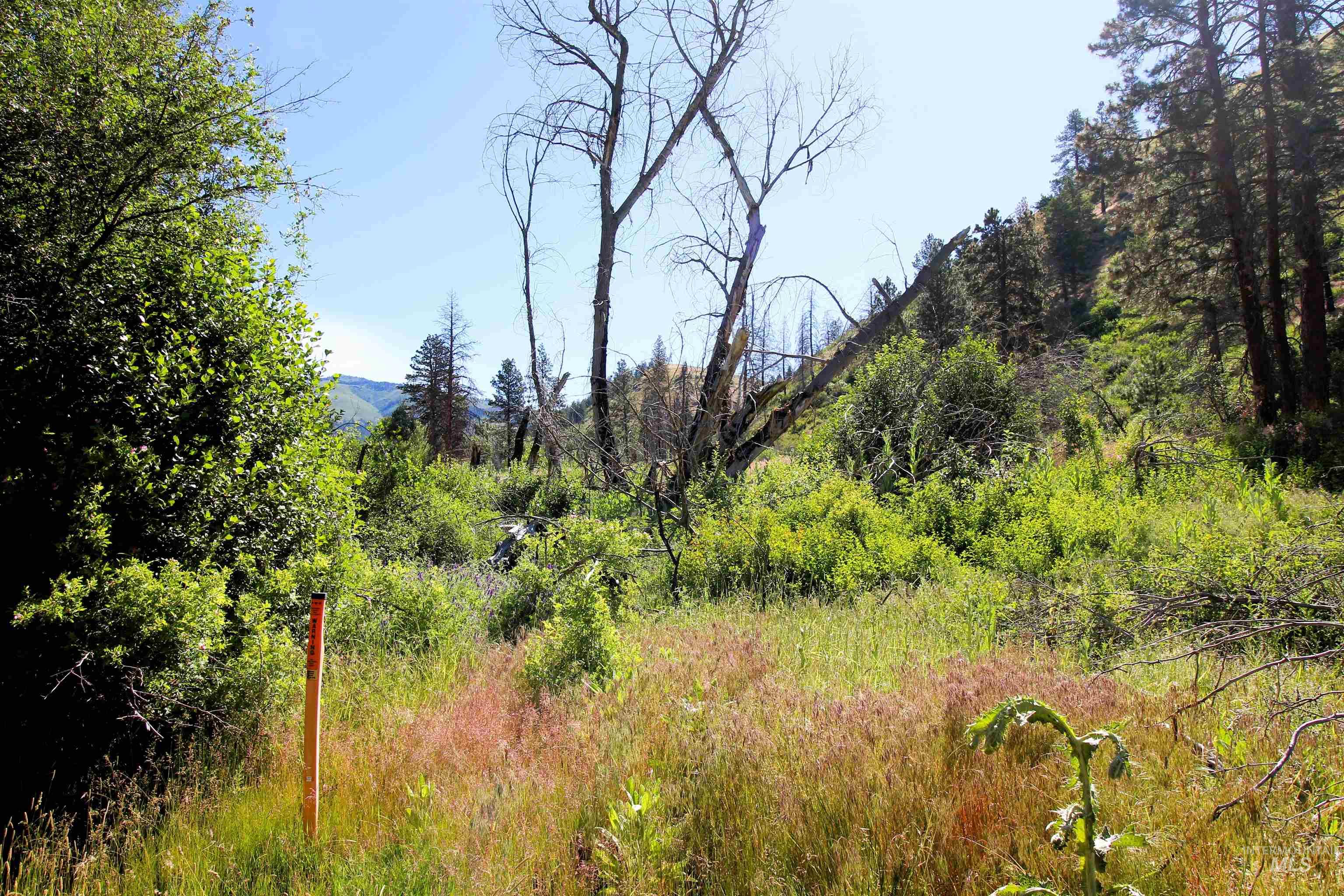 TBD Lot 1 Advent Gulch Rd, Cambridge, Idaho 83610, Land For Sale, Price $185,000, 98990721