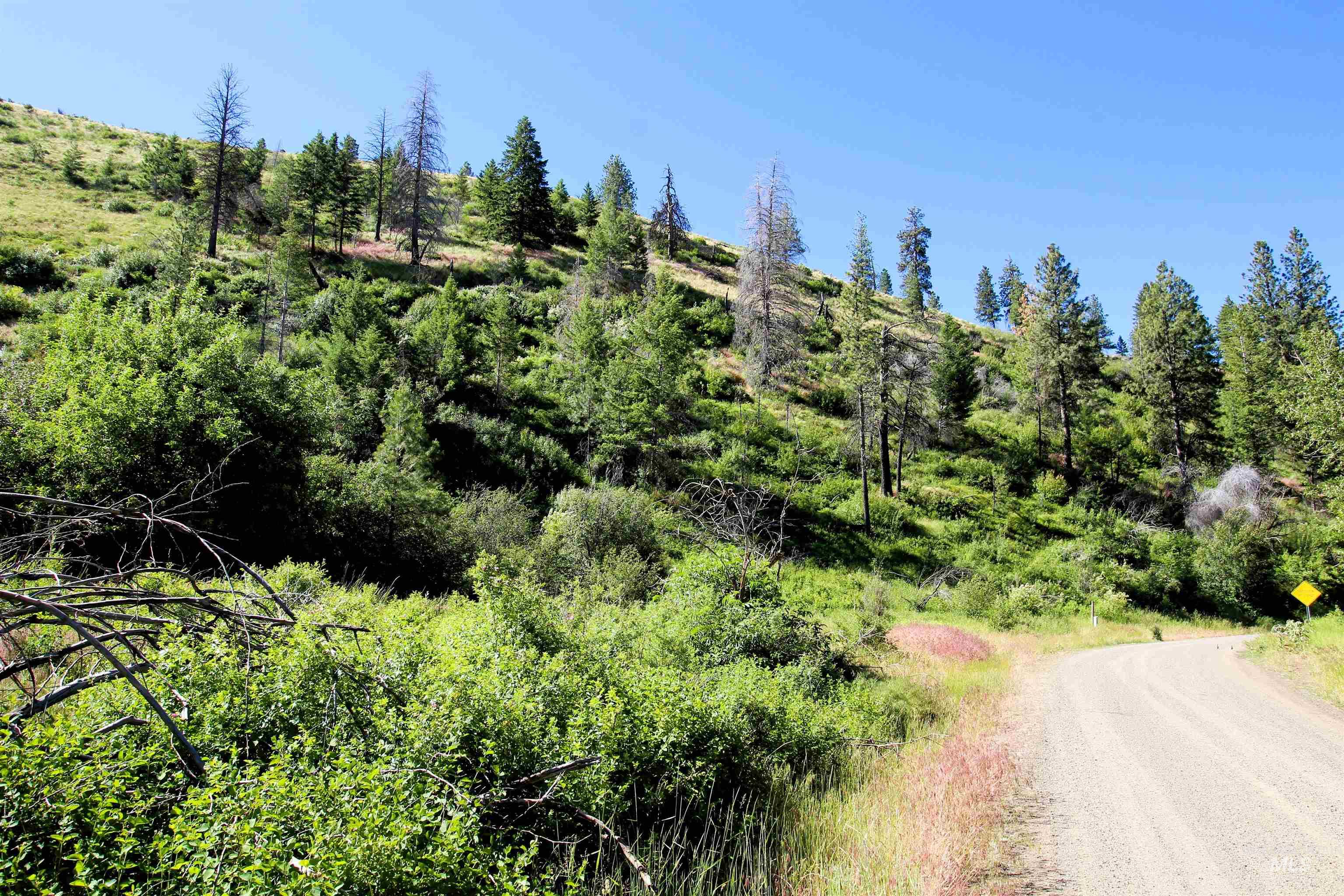 TBD Lot 1 Advent Gulch Rd, Cambridge, Idaho 83610, Land For Sale, Price $185,000, 98990721