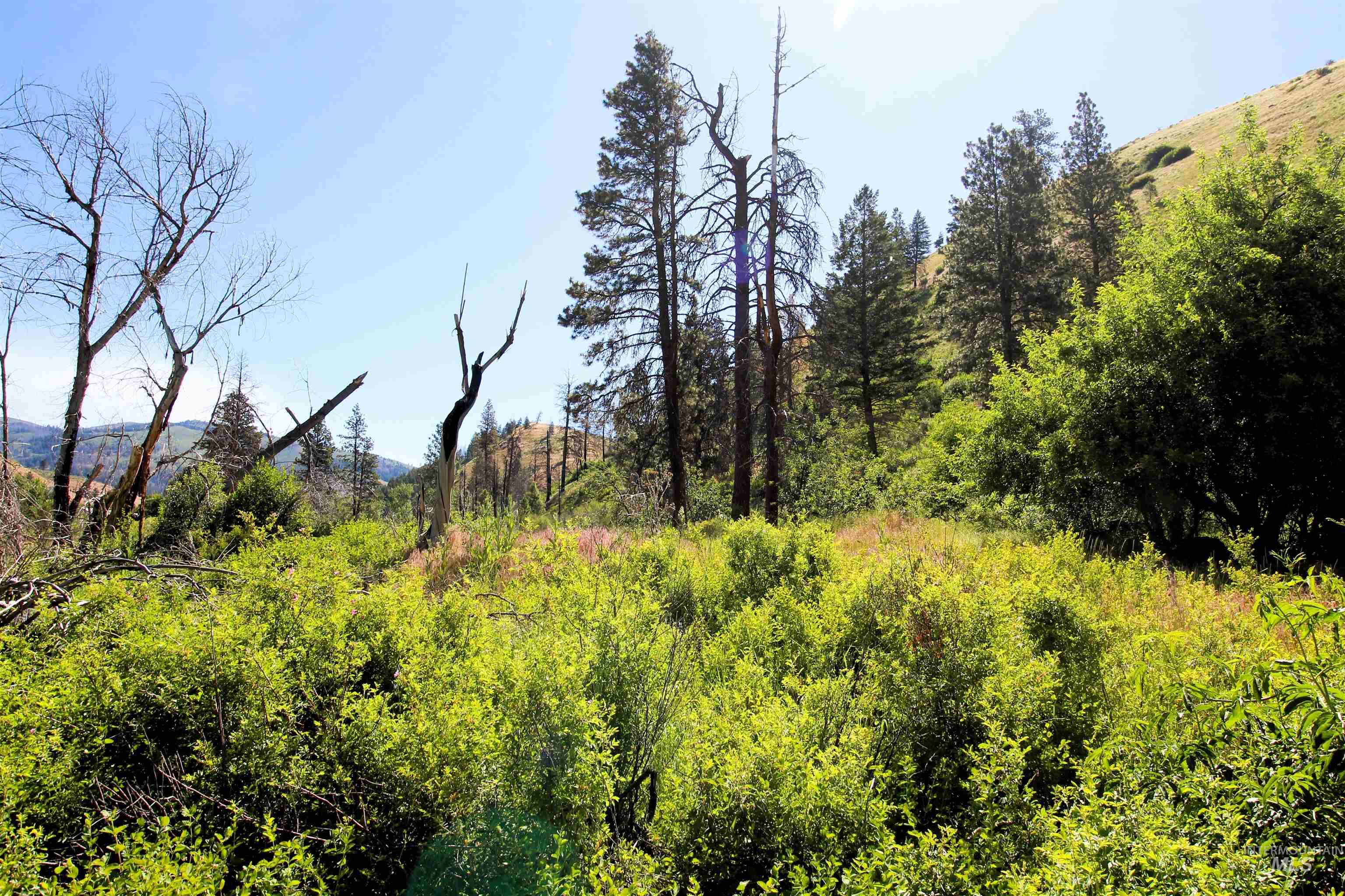 TBD Lot 1 Advent Gulch Rd, Cambridge, Idaho 83610, Land For Sale, Price $185,000, 98990721